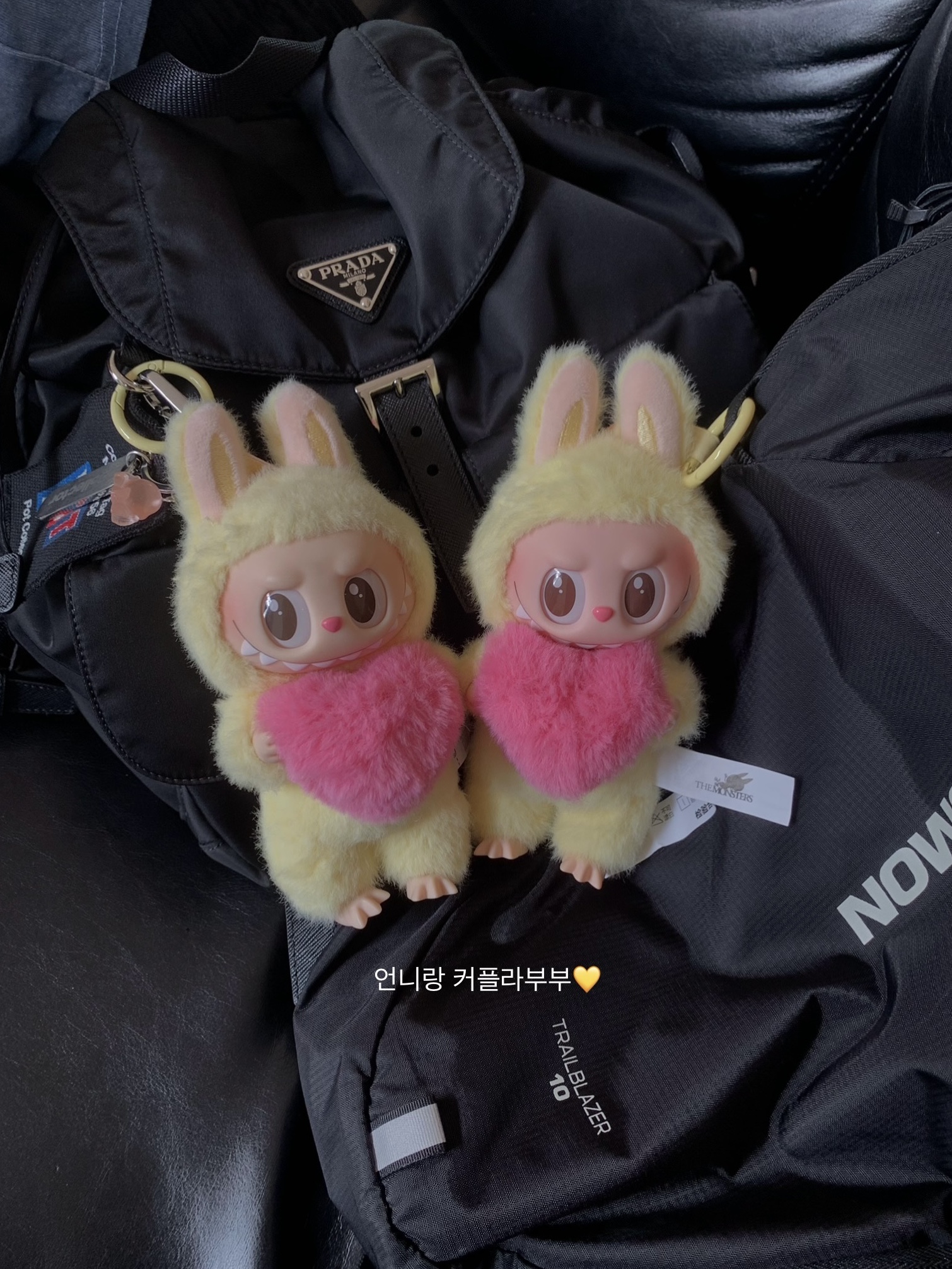 Pop Mart The Monsters Checkmate Series Plush Keyring, Salomon Trailblazer 10 Black 착용 스타일