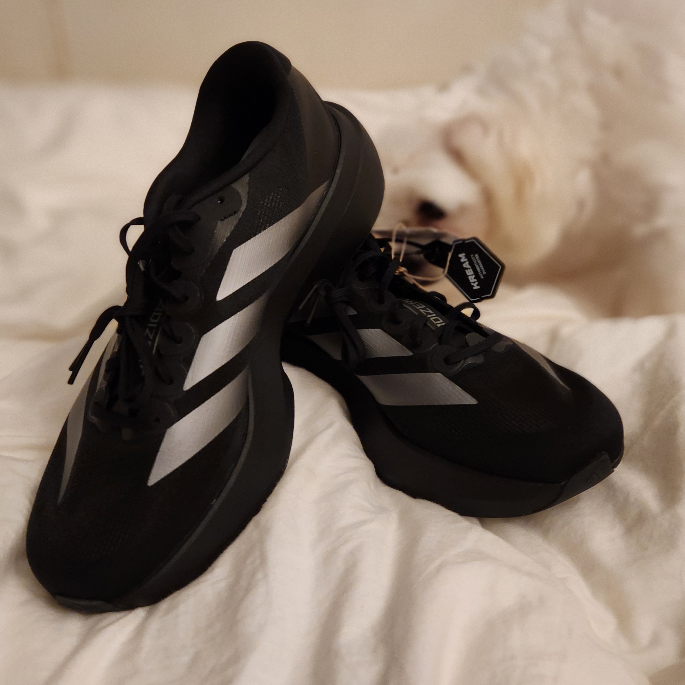 Adidas Adizero EVO SL Core Black Iron Metallic 착용 스타일