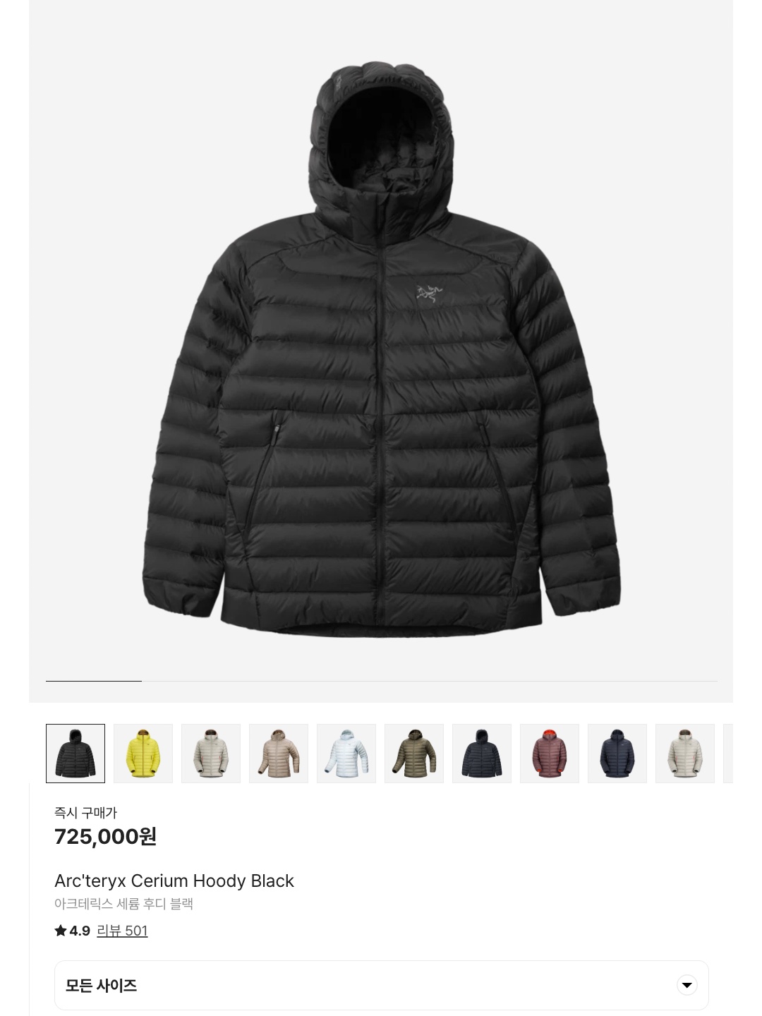 Arc'teryx Cerium Hoody Forage Verve, Arc'teryx Cerium Hoody Oracle 착용 스타일 - 6