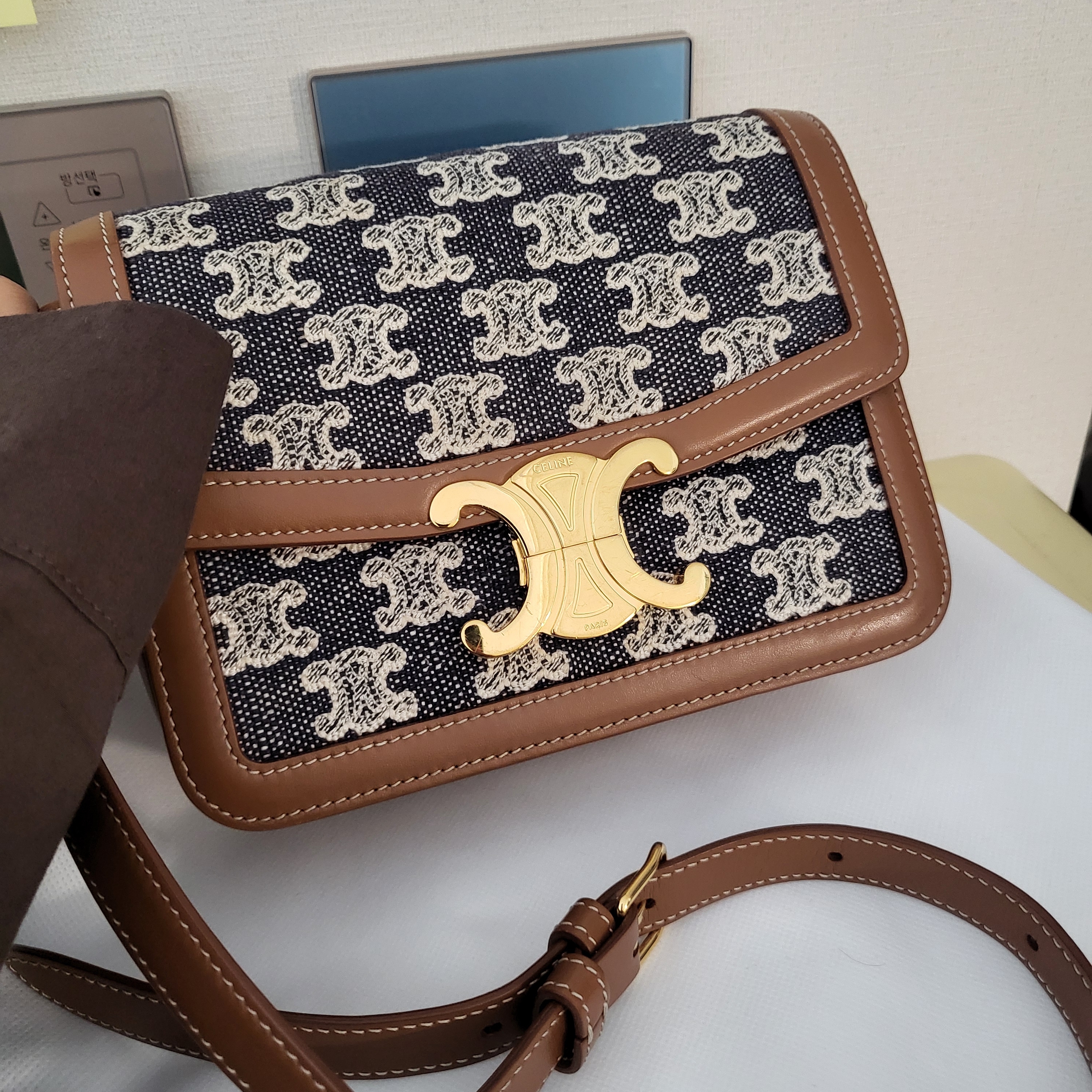 Celine Teen Triomphe Bag in Triomphe Canvas Calfskin Grege 착용 스타일