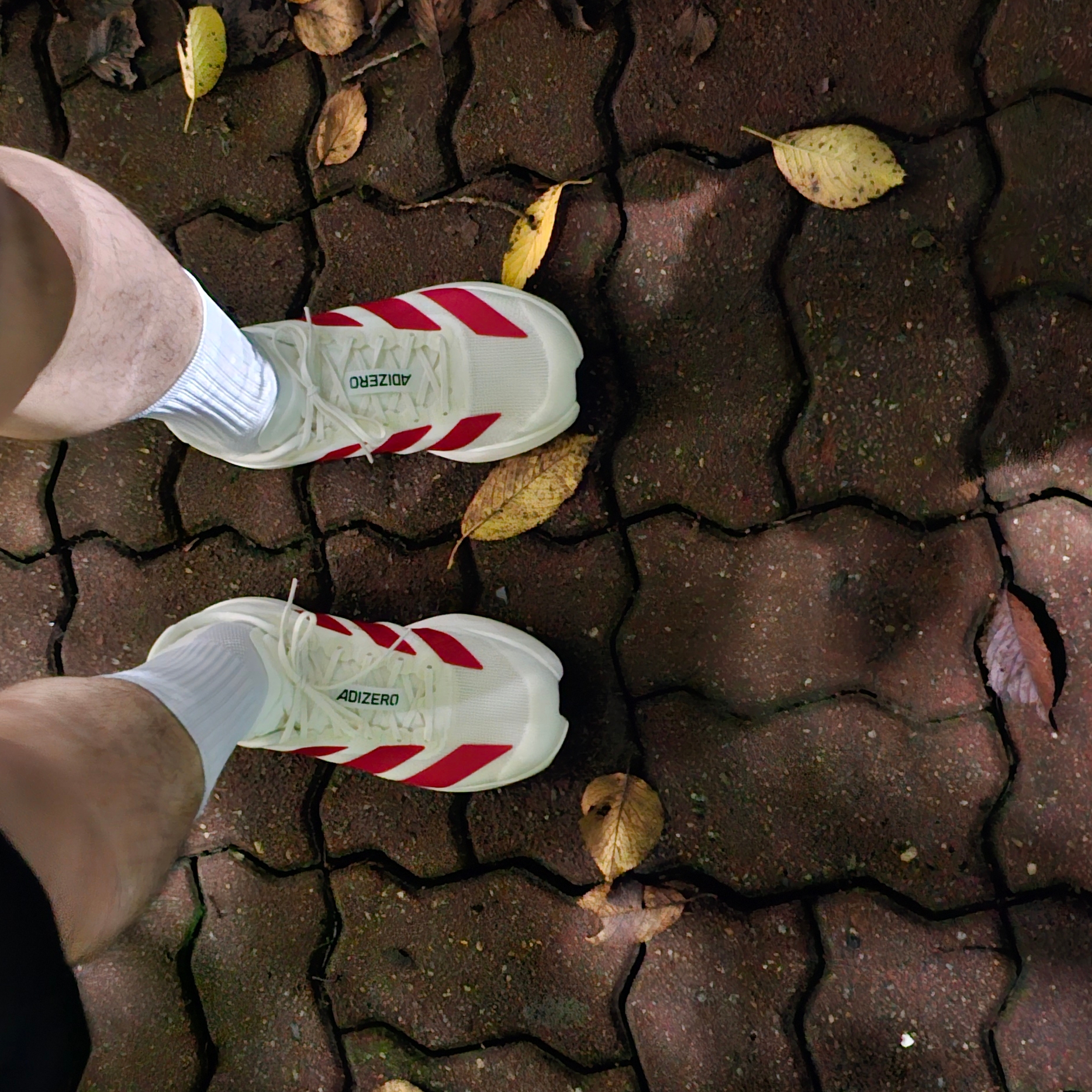 Adidas Adizero EVO SL Off White Better Scarlet 착용 스타일