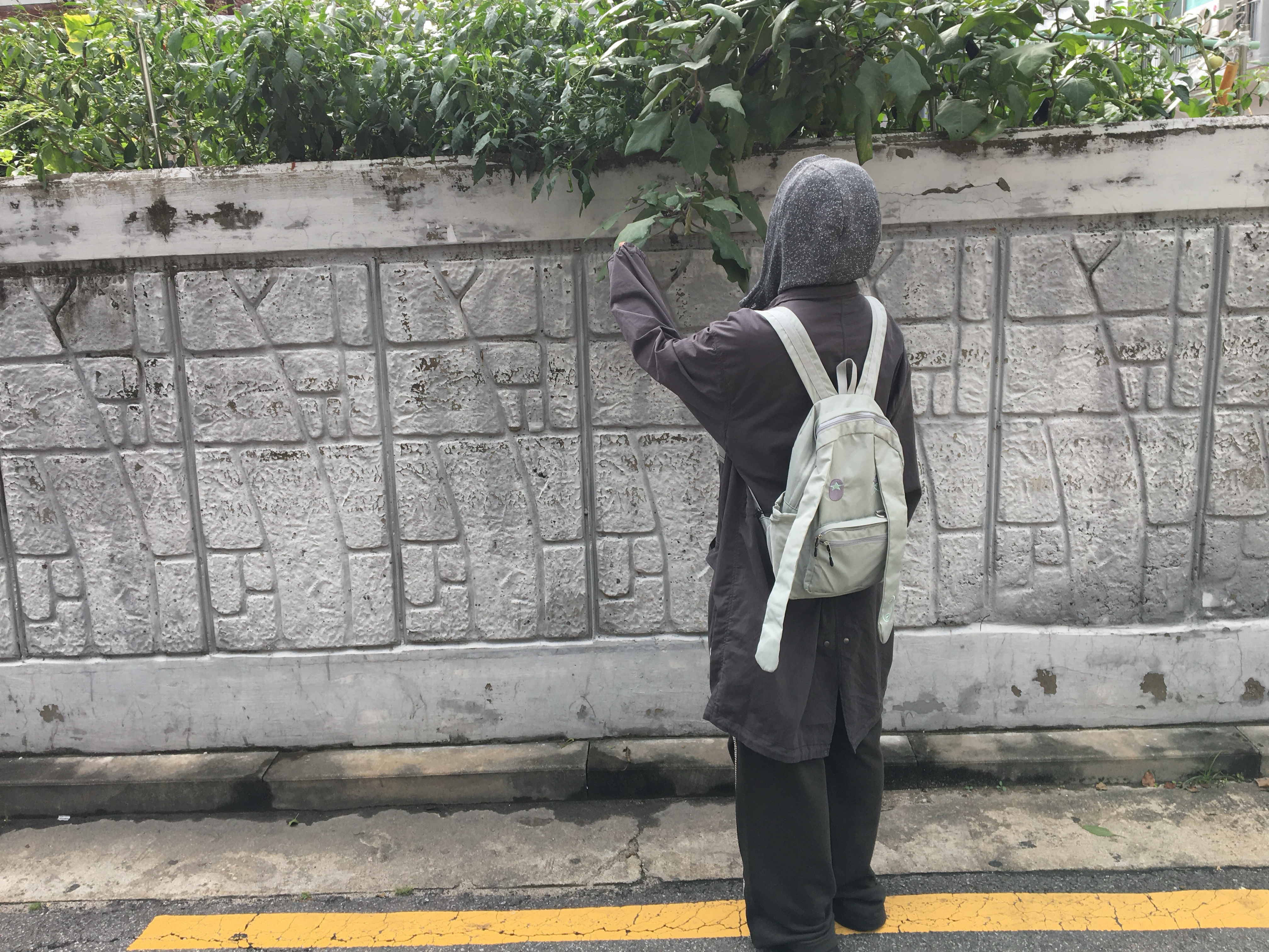 ์์
์ด๋ฏธ์ง