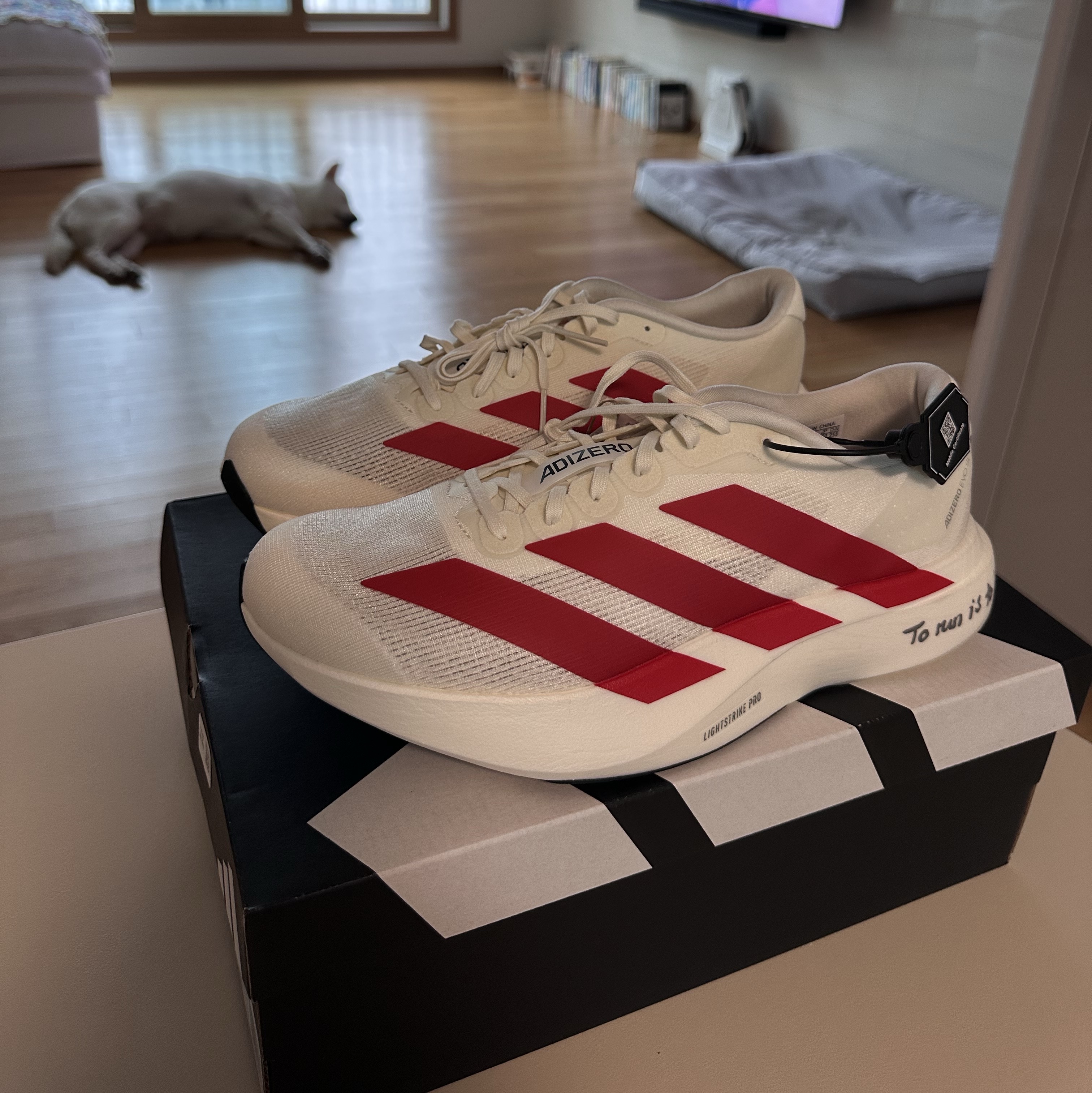 Adidas Adizero EVO SL Off White Better Scarlet 착용 스타일