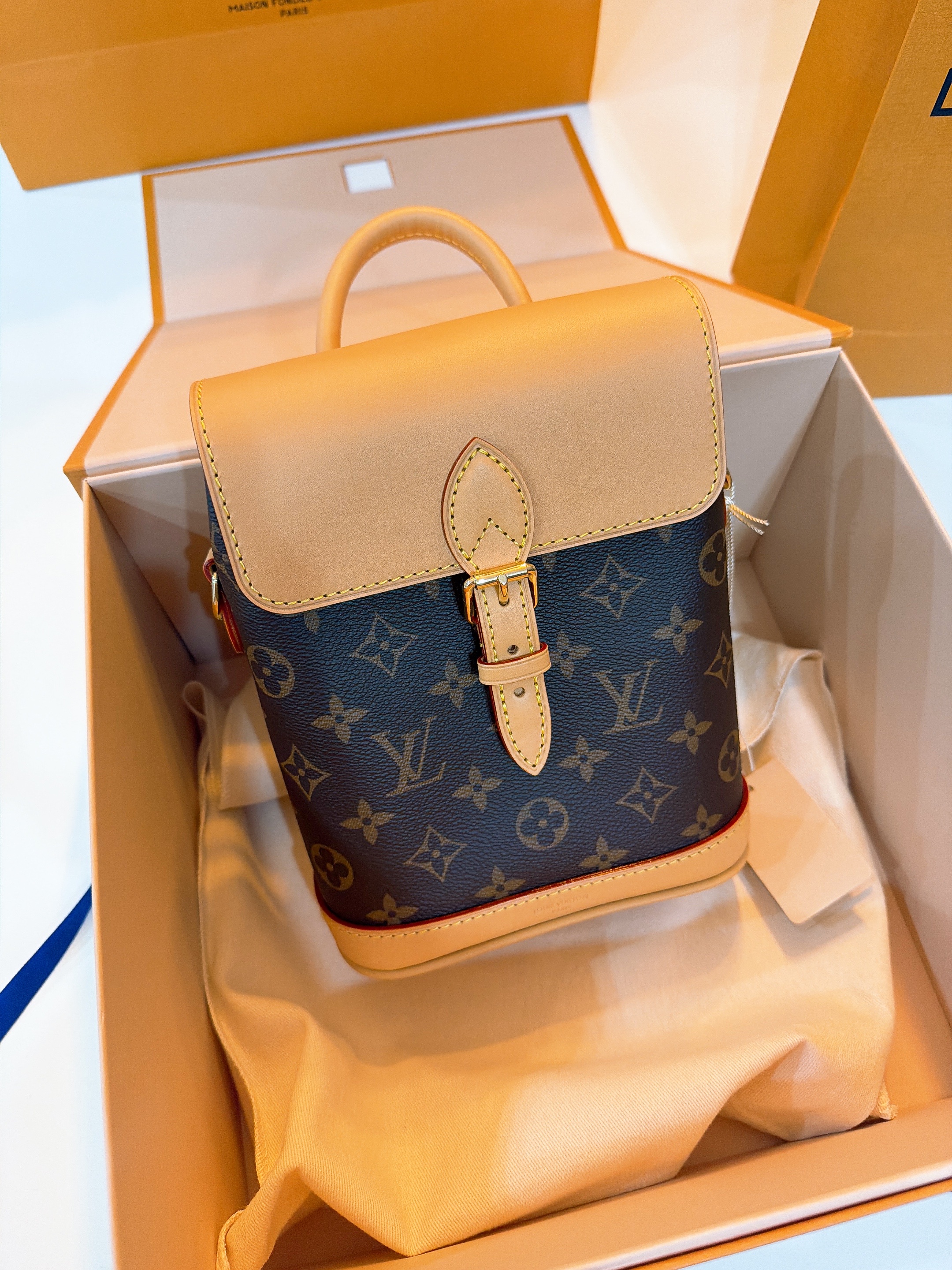 Louis Vuitton Soho Mini Backpack Monogram 착용 스타일