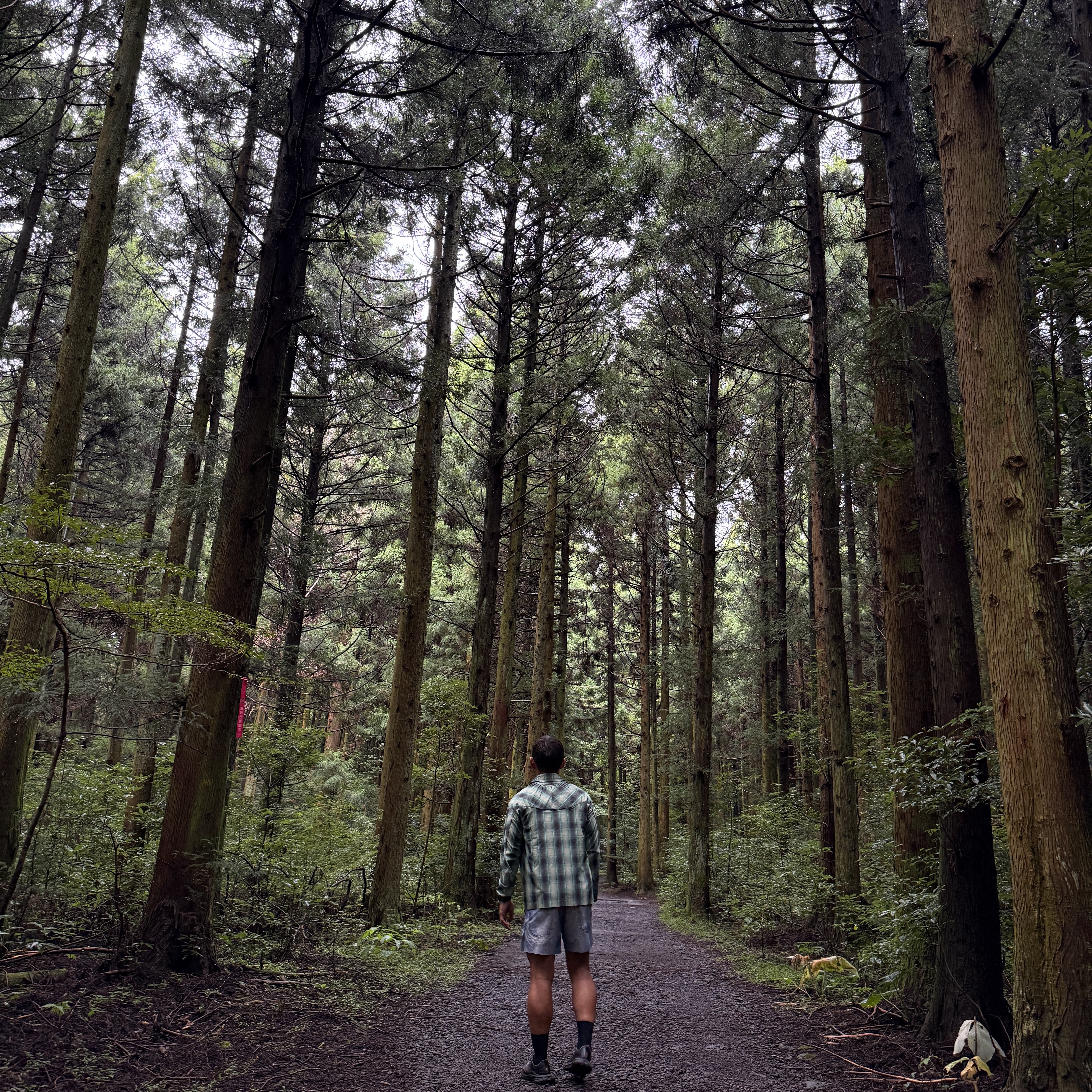 Satisfy PeaceShell River Shirt Check Green, Satisfy Peaceshell 5 Inch Unlined Shorts Digital Denim 착용 스타일 - 3