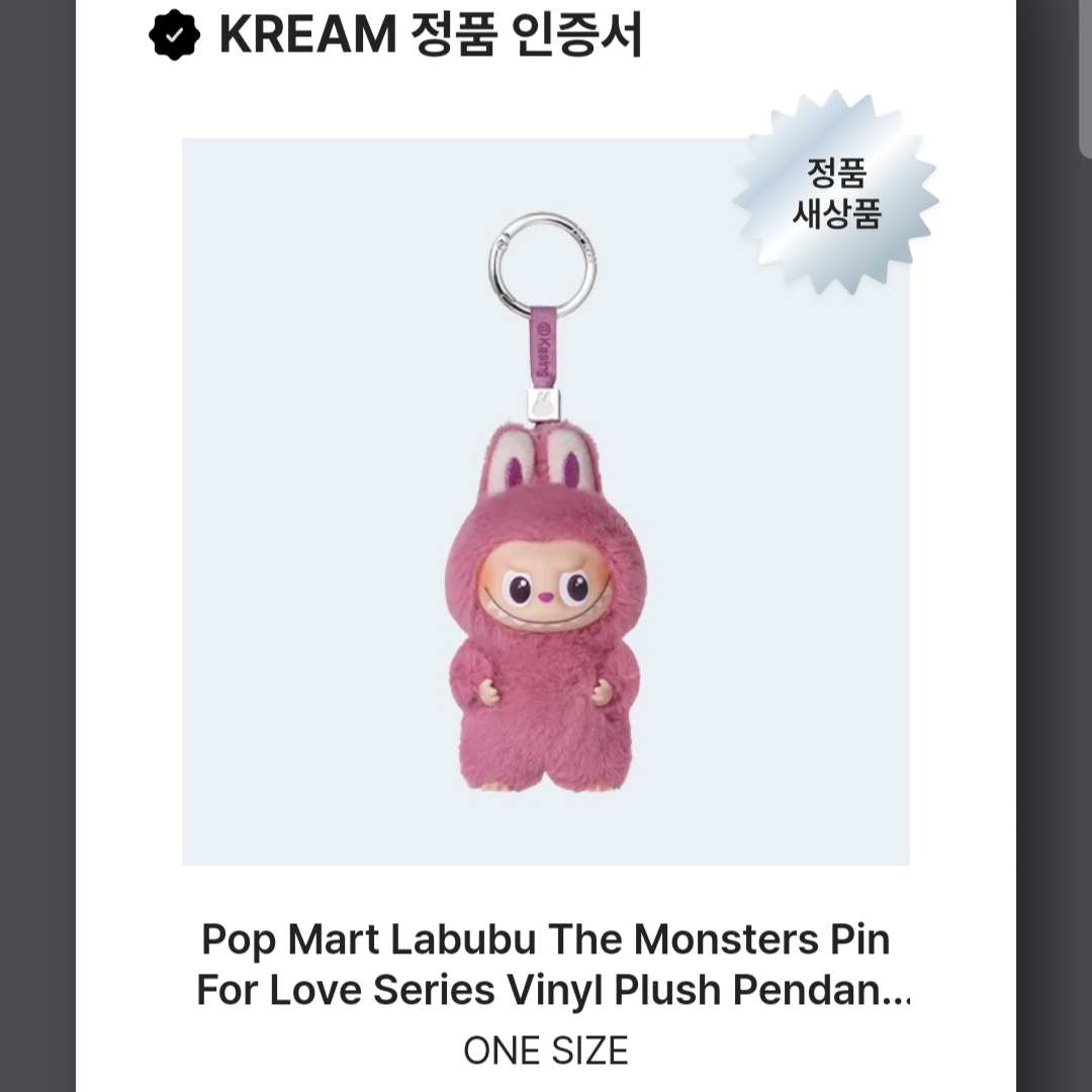 Pop Mart Labubu The Monsters Pin For Love Series Vinyl Plush Pendant (N-Z) Q (Opened Case) 착용 스타일 - 6