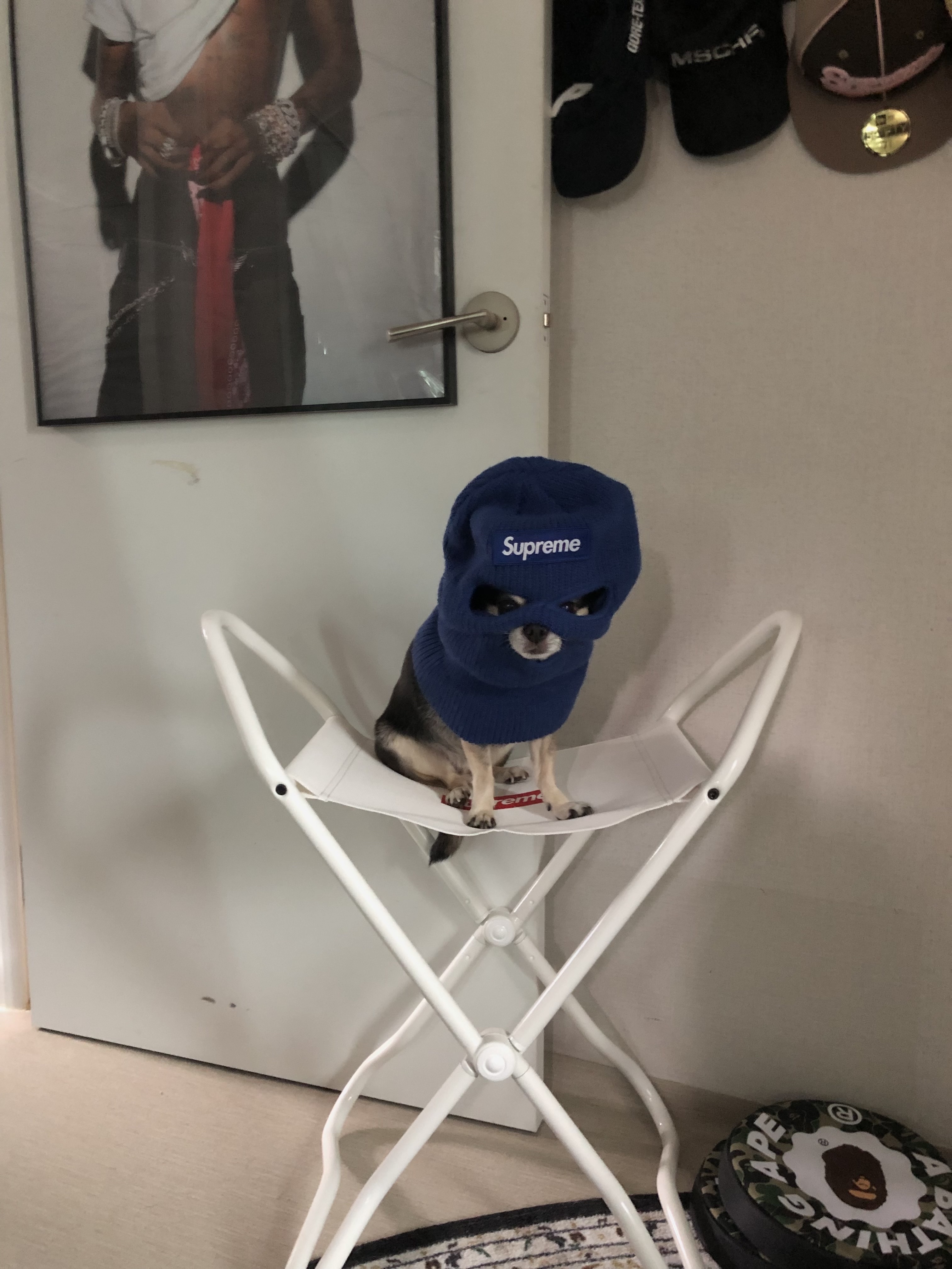 Supreme x Lectus New York Stool White - 25FW, Supreme New Era Box Logo Balaclava Light Royal - 24FW 착용 스타일