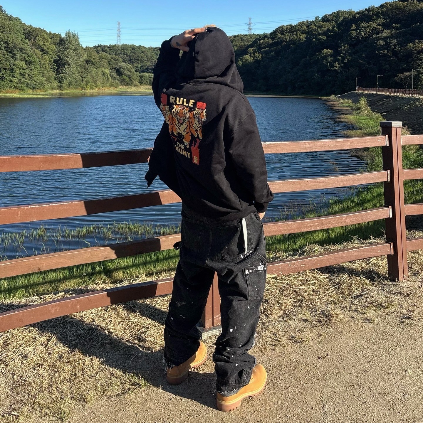 ์์
์ด๋ฏธ์ง