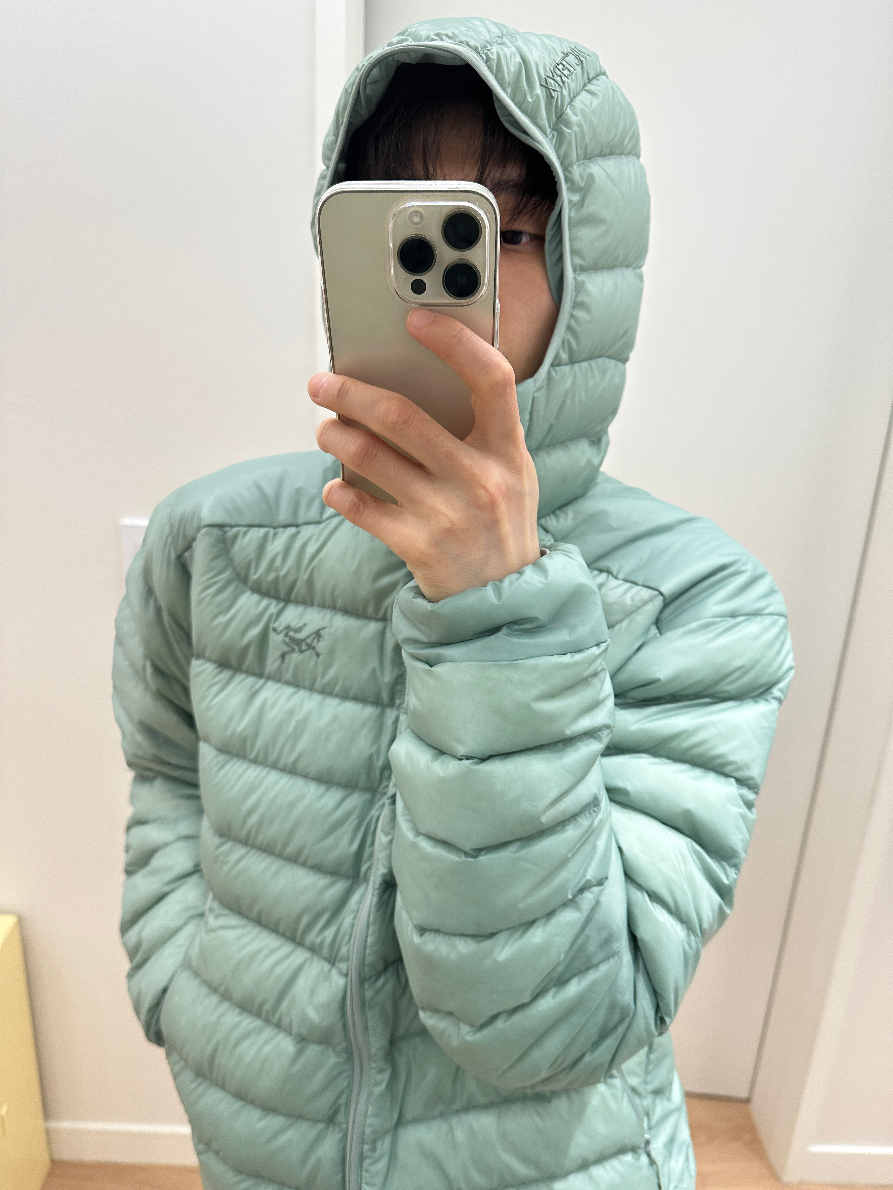 Arc'teryx Cerium Hoody Stone Green 착용 스타일 - 1