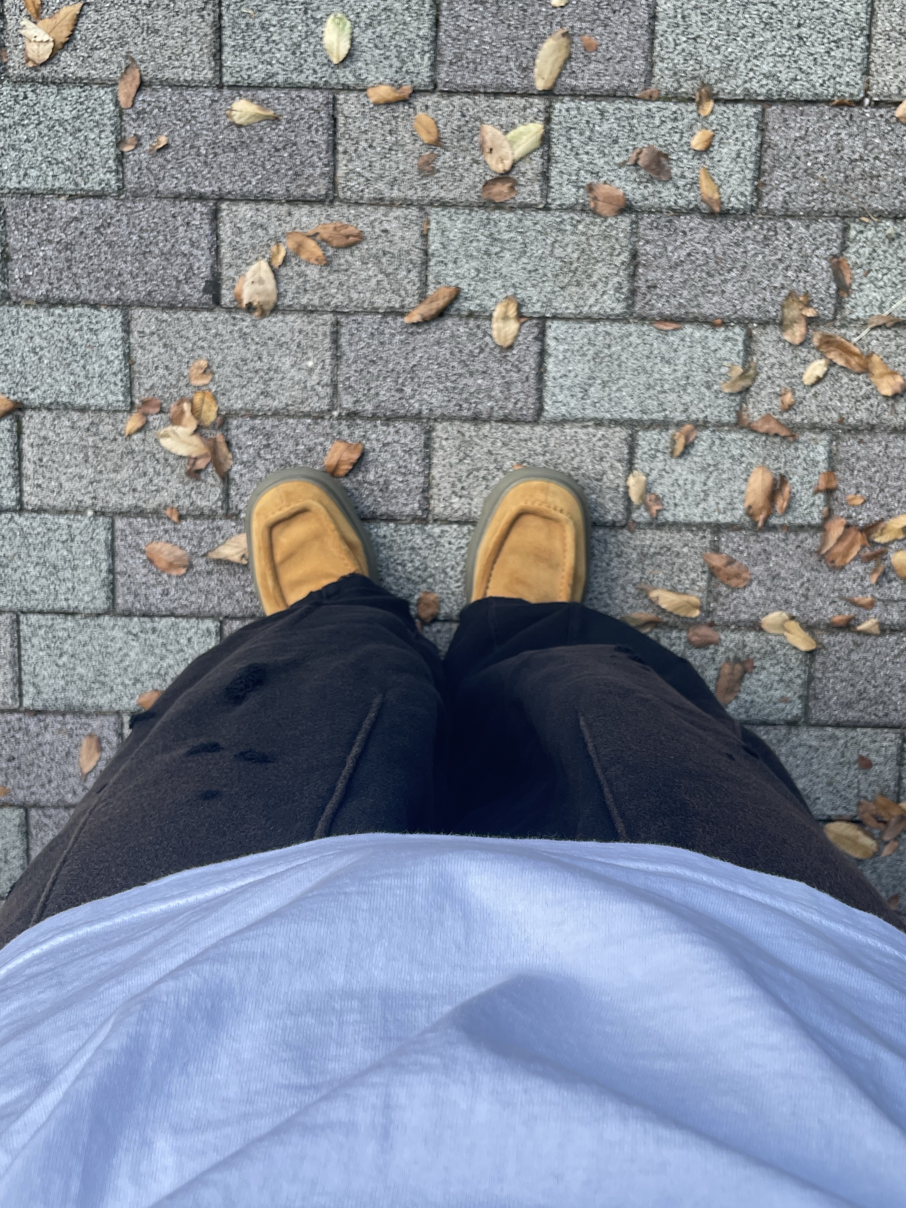 Burberry Suede Creeper Shoes Brown, Needles Darts H.D. Sweat Pants French Terry Purple 착용 스타일 - 1