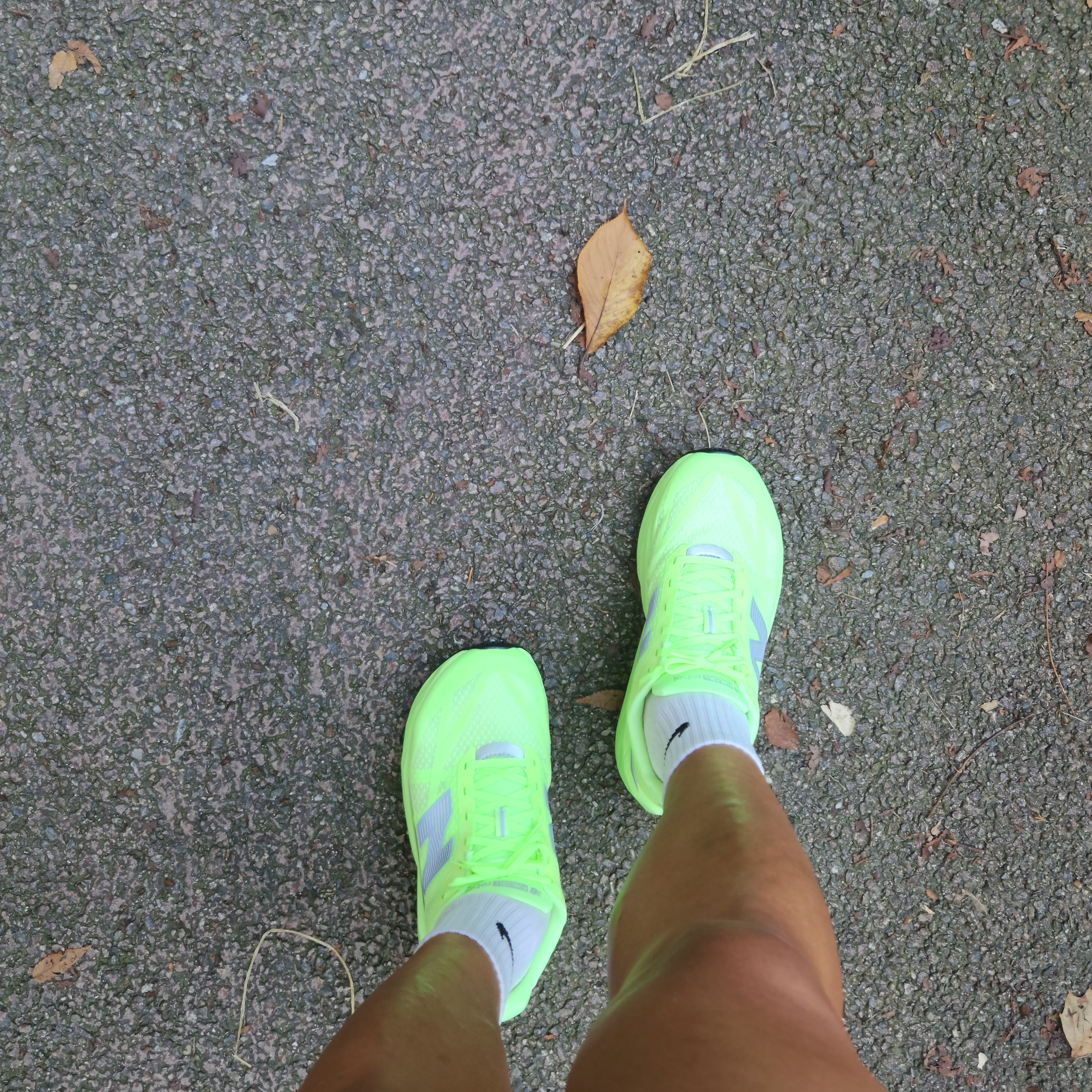 New Balance FuelCell Rebel v5 Lab Green Silver Metallic - 2E Wide 착용 스타일