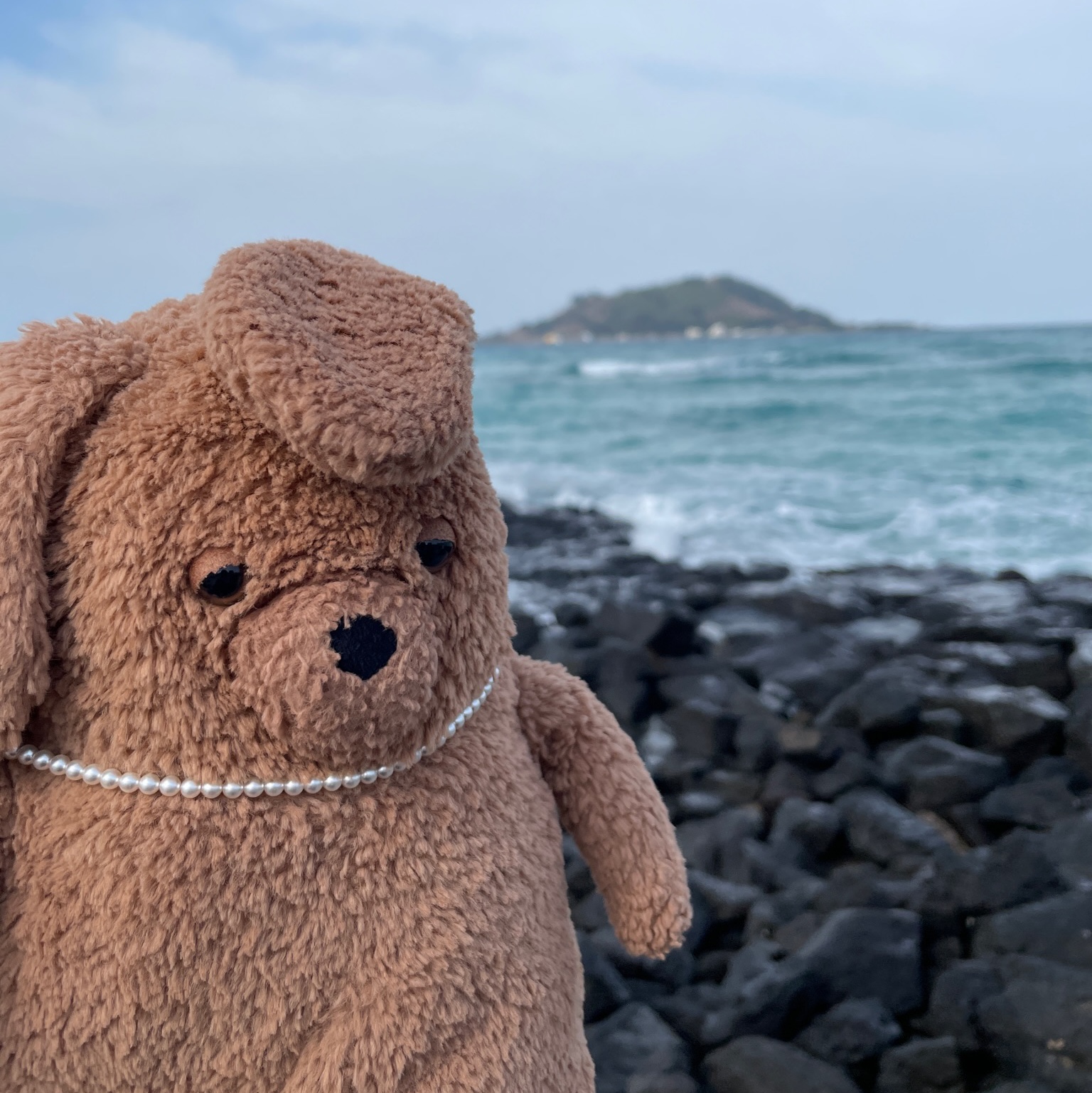 Jellycat Amore Dog Brown 착용 스타일