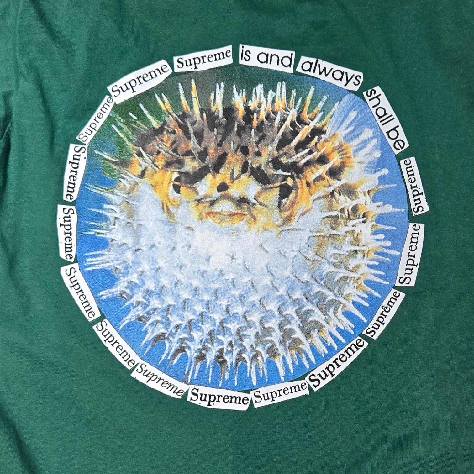 Supreme Blowfish T-Shirt Light Pine - 23SS 착용 스타일