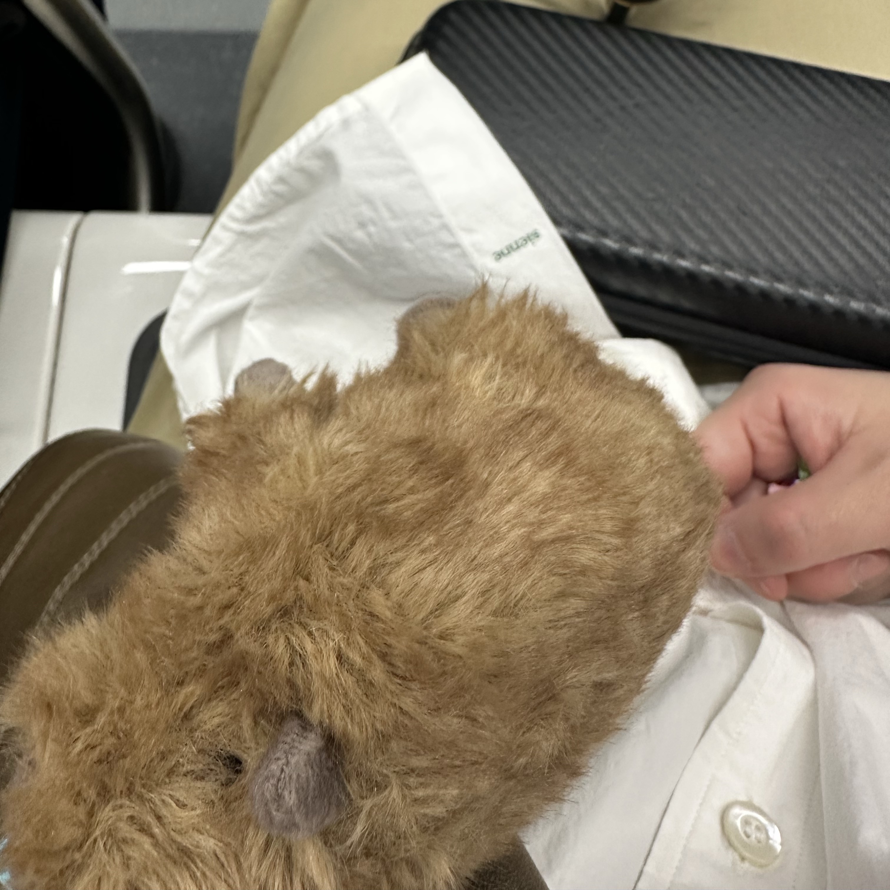 Jellycat Clyde Capybara Bag Charm 착용 스타일
