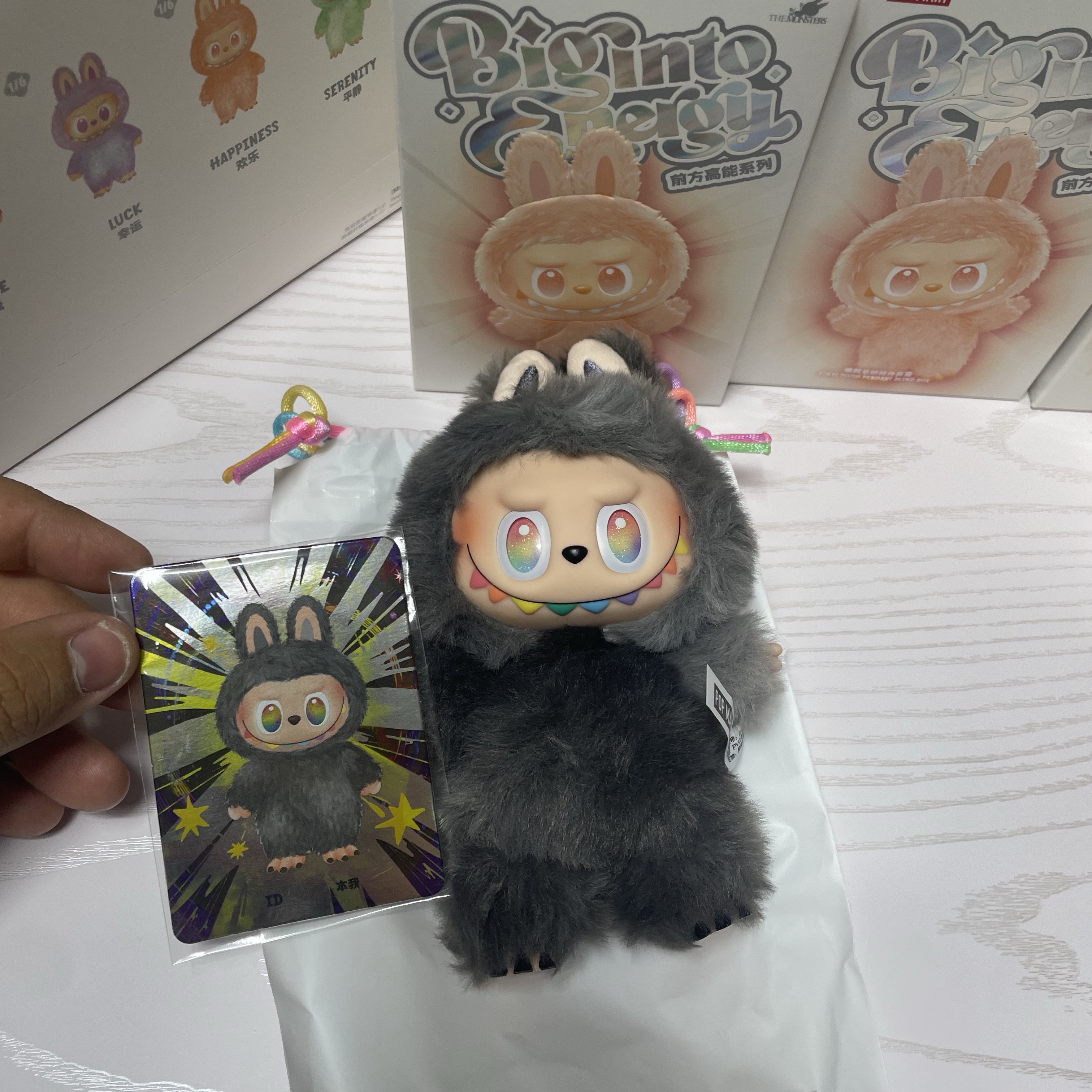 Pop Mart Labubu The Monsters Highlight Series Sealed Case (6 Blind Boxes) 착용 스타일