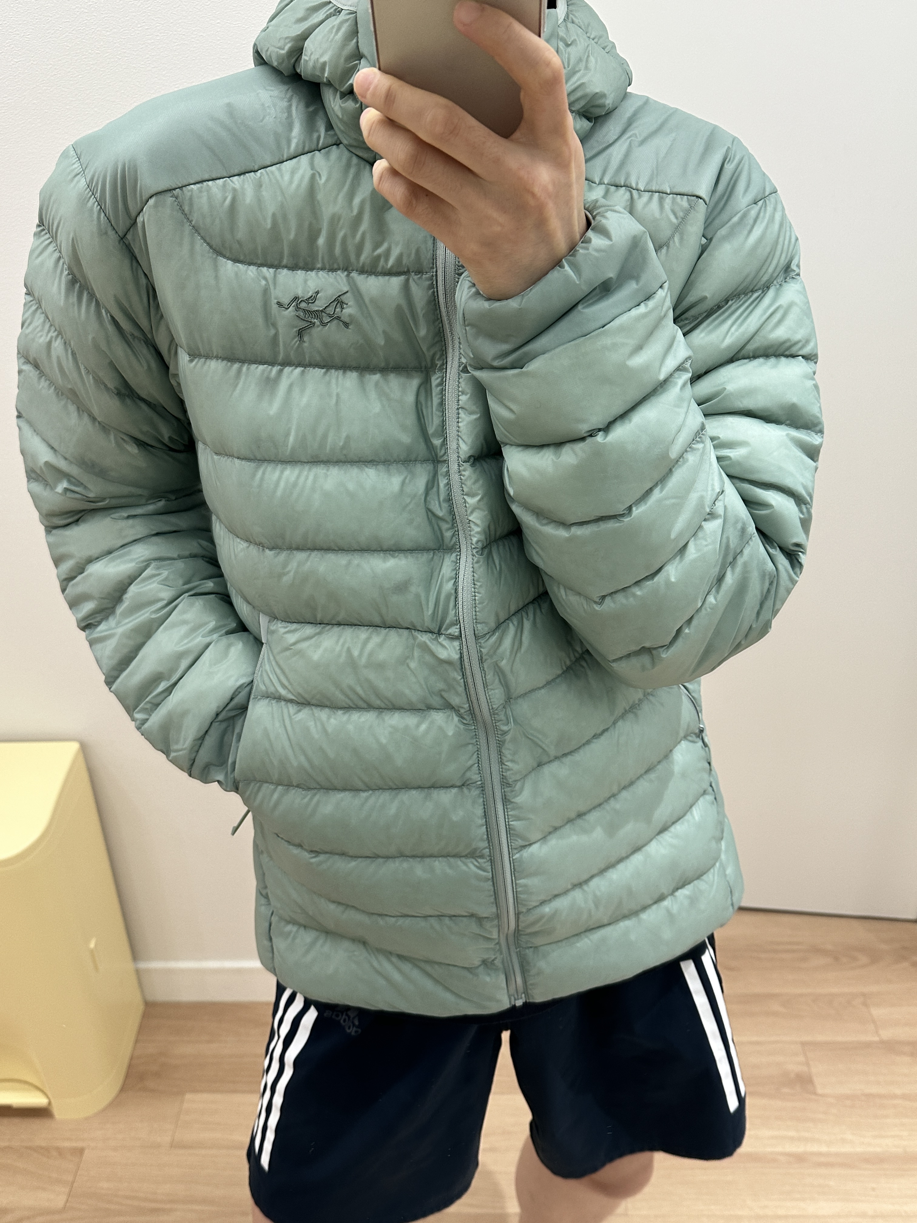 Arc'teryx Cerium Hoody Stone Green 착용 스타일 - 2