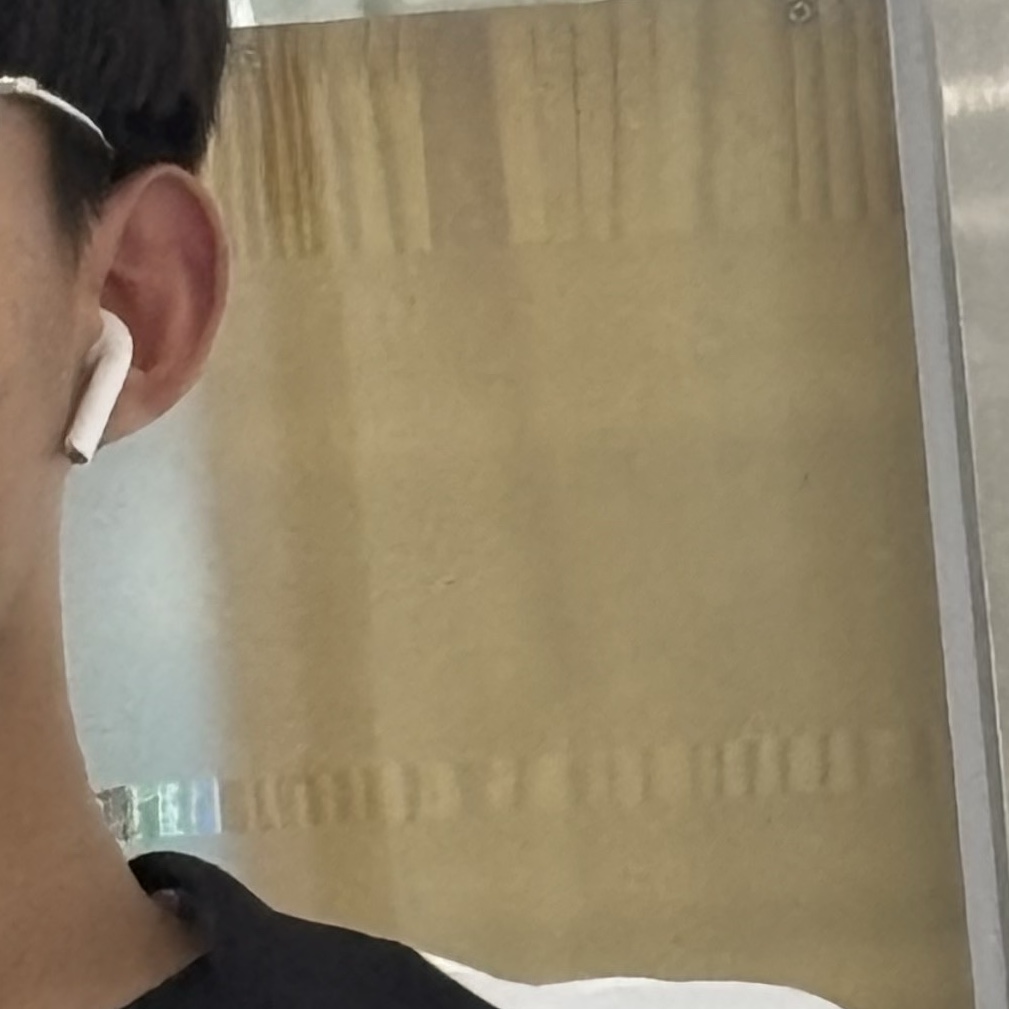 Apple AirPods 1st Gen (Korean Ver.) 착용 스타일