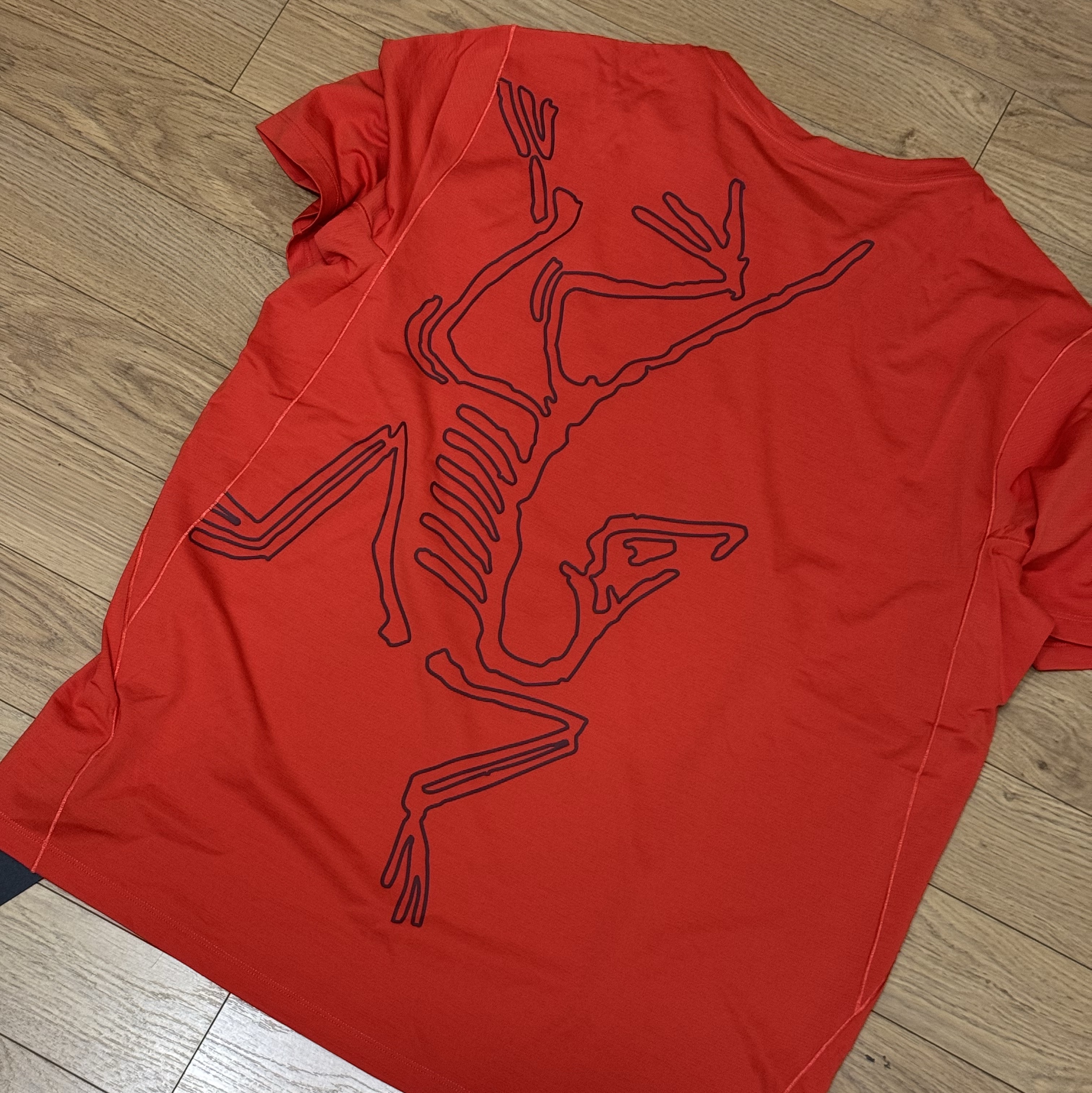 Arc'teryx Cormac Arc Bird Logo SS Shirt Dynasty Heather Mars 착용 스타일 - 1