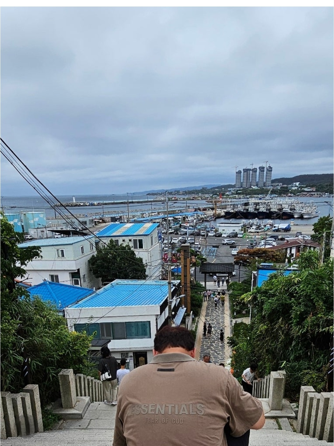 Essentials Short Sleeve Polo Harvest - 21FW 착용 스타일