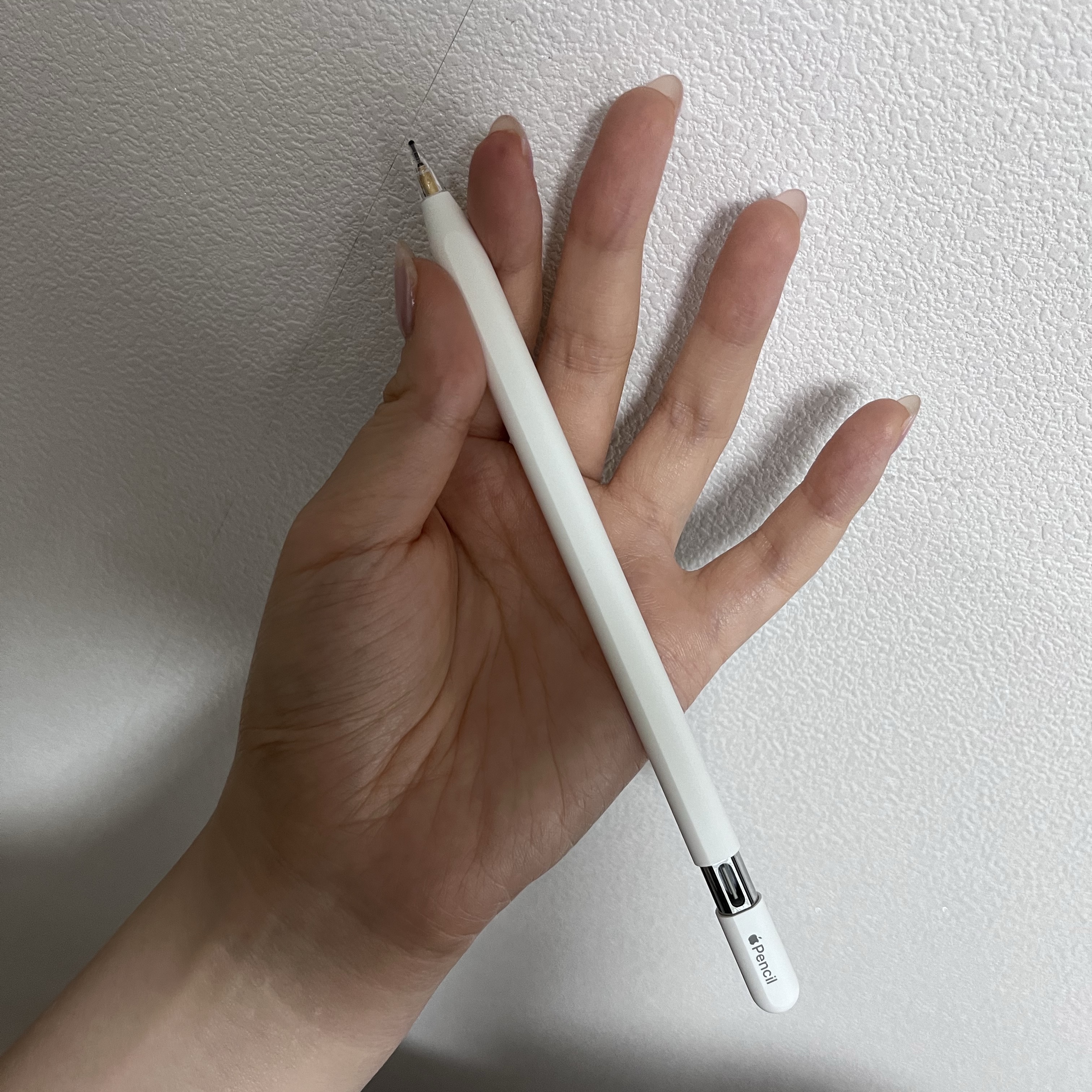 Apple Apple Pencil USB-C (Korean Ver.) 착용 스타일