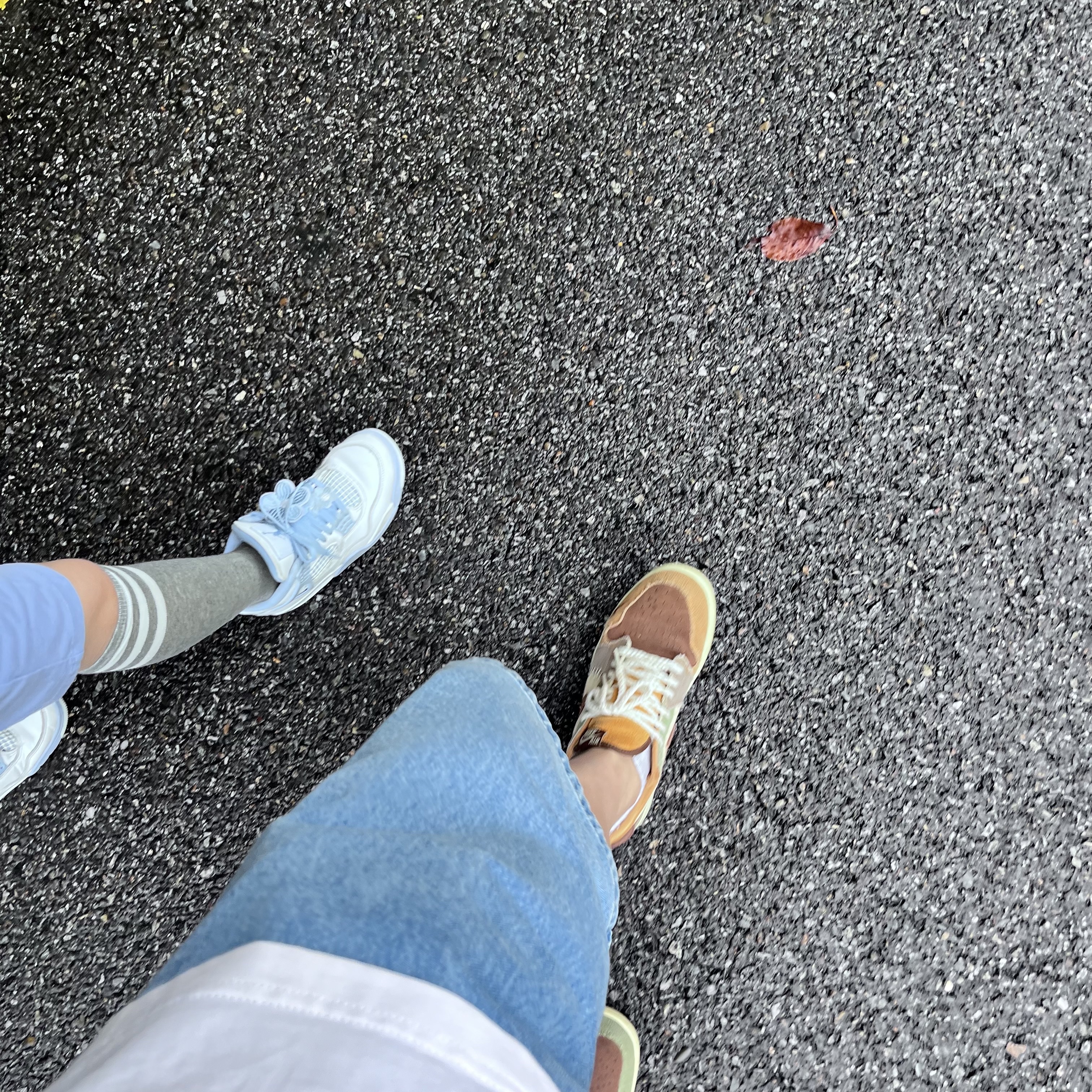 Jordan 1 x Zion Williamson Retro Low OG Flax and Oil Green, (PS) Jordan 4 Retro Aluminum 착용 스타일 - 1