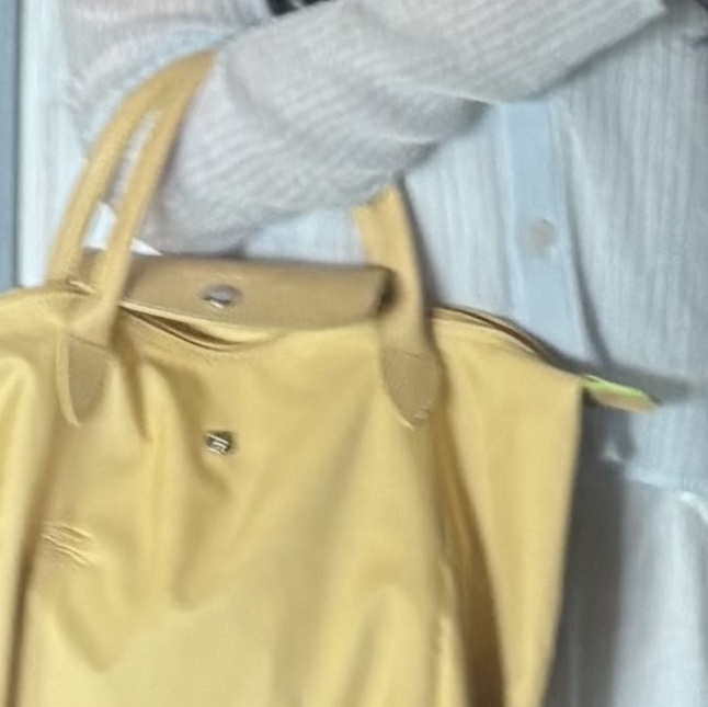 Longchamp Le Pliage Green Tote Bag M Wheat 착용 스타일