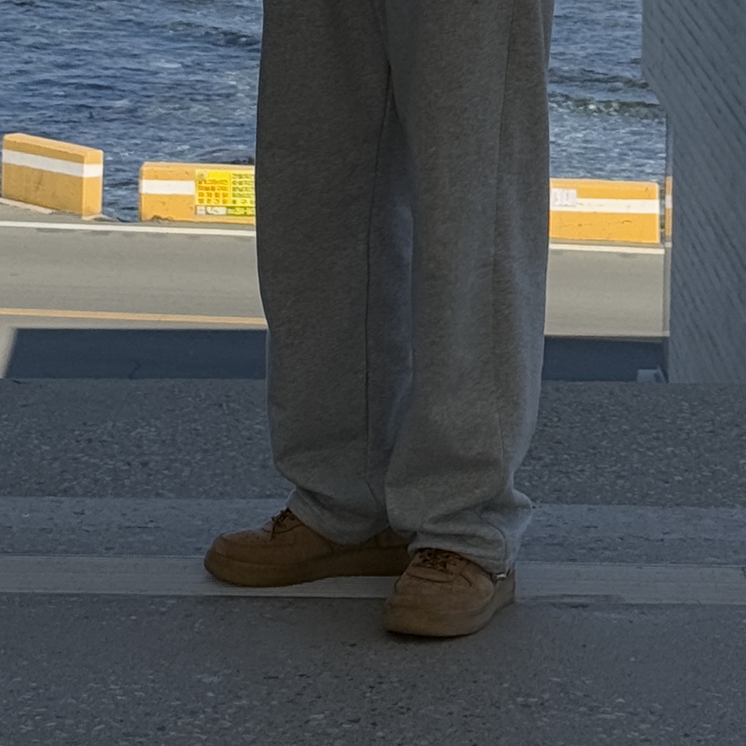 Nike Air Force 1 '07 WB Flax 착용 스타일