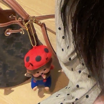 Monchhichi Bighead SS Ladybug Key Chain, Celine Teen Clara Bag in Triomphe Canvas and Calfskin Tan 착용 스타일 - 3