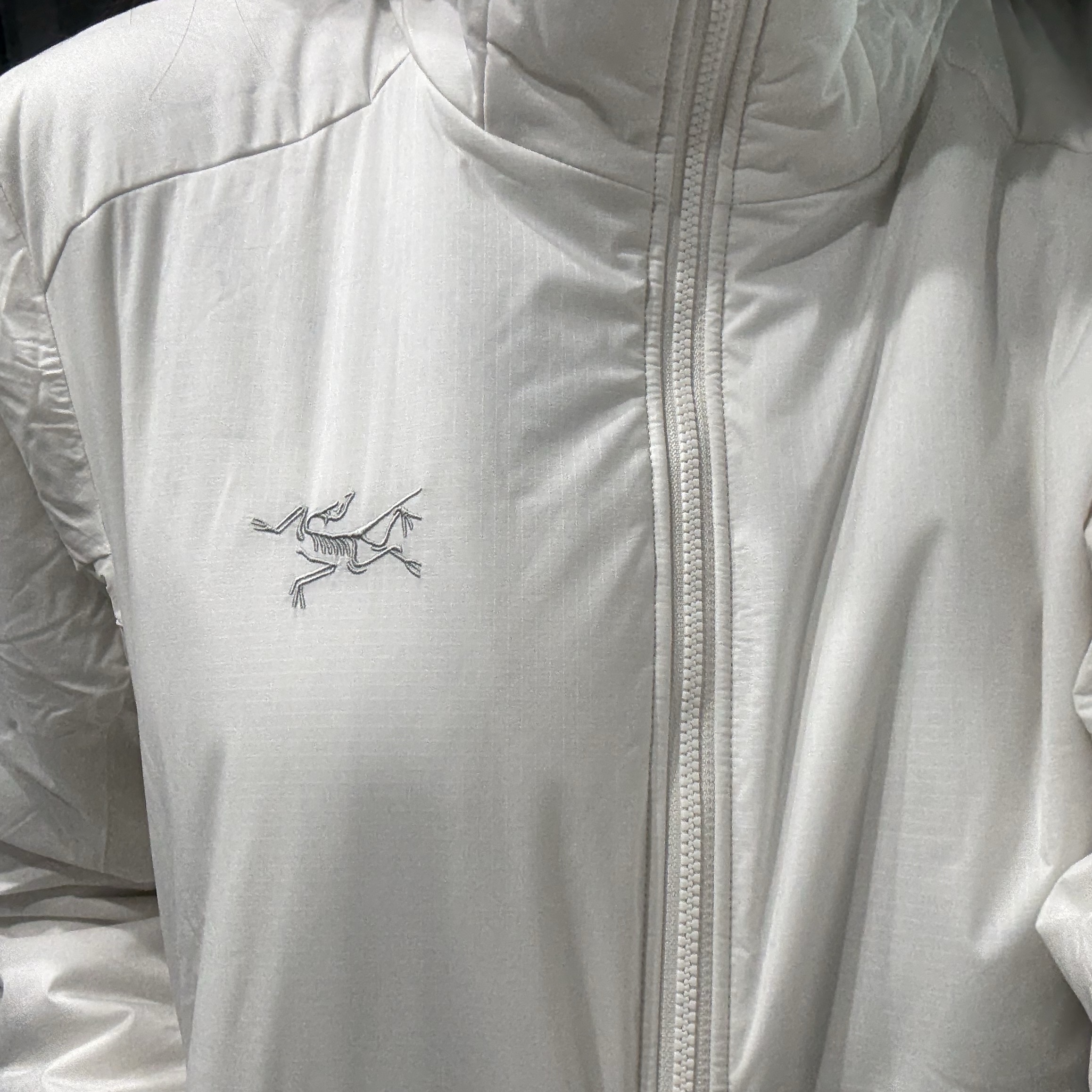 (W) Arc'teryx Atom Hoody Arctic Silk 착용 스타일 - 1