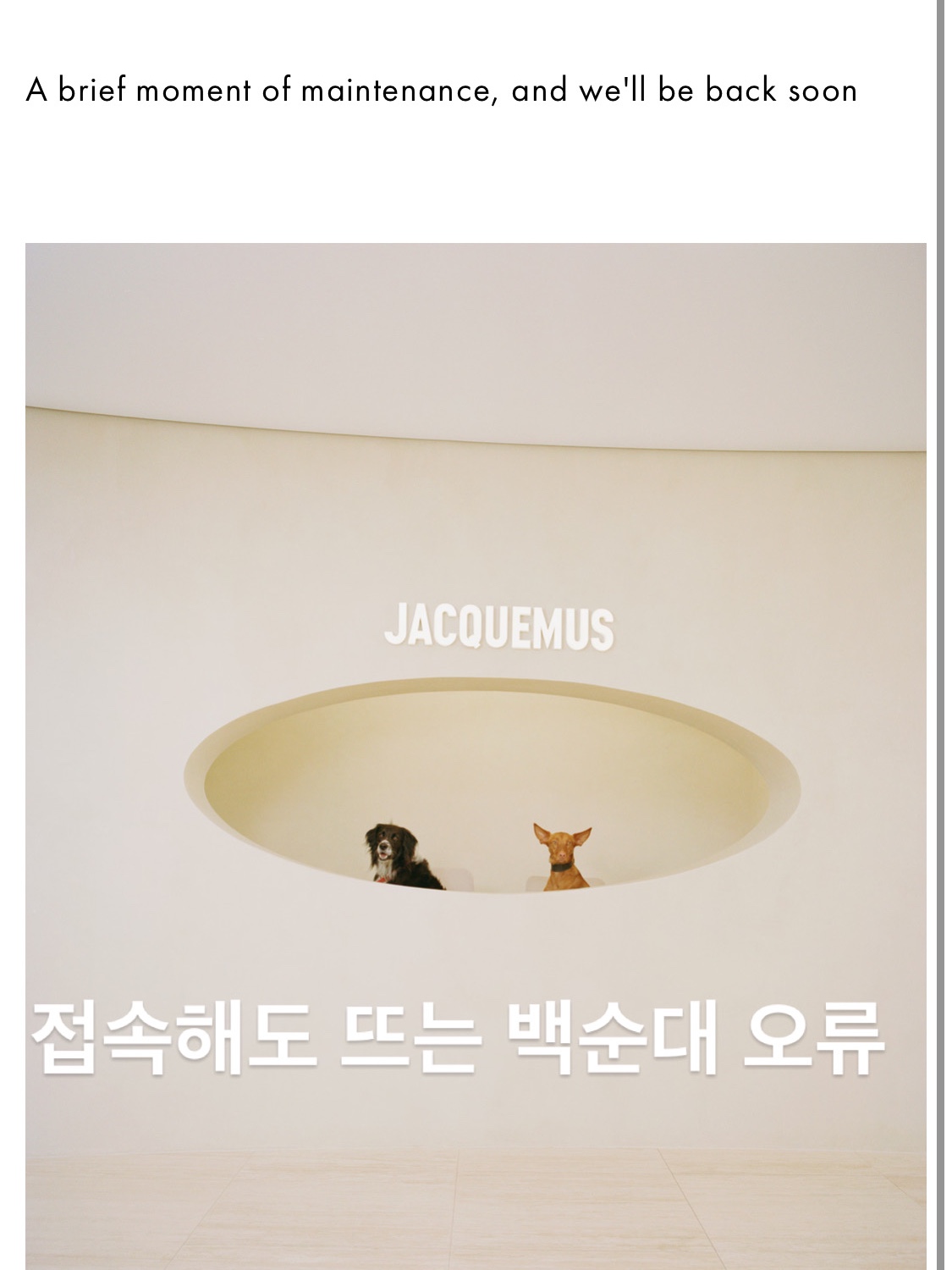 Nike x Jacquemus Moon Shoe SP University Red and Bicycle Yellow, Nike x Jacquemus Moon Shoe SP Off Noir Cashmere 착용 스타일 - 3