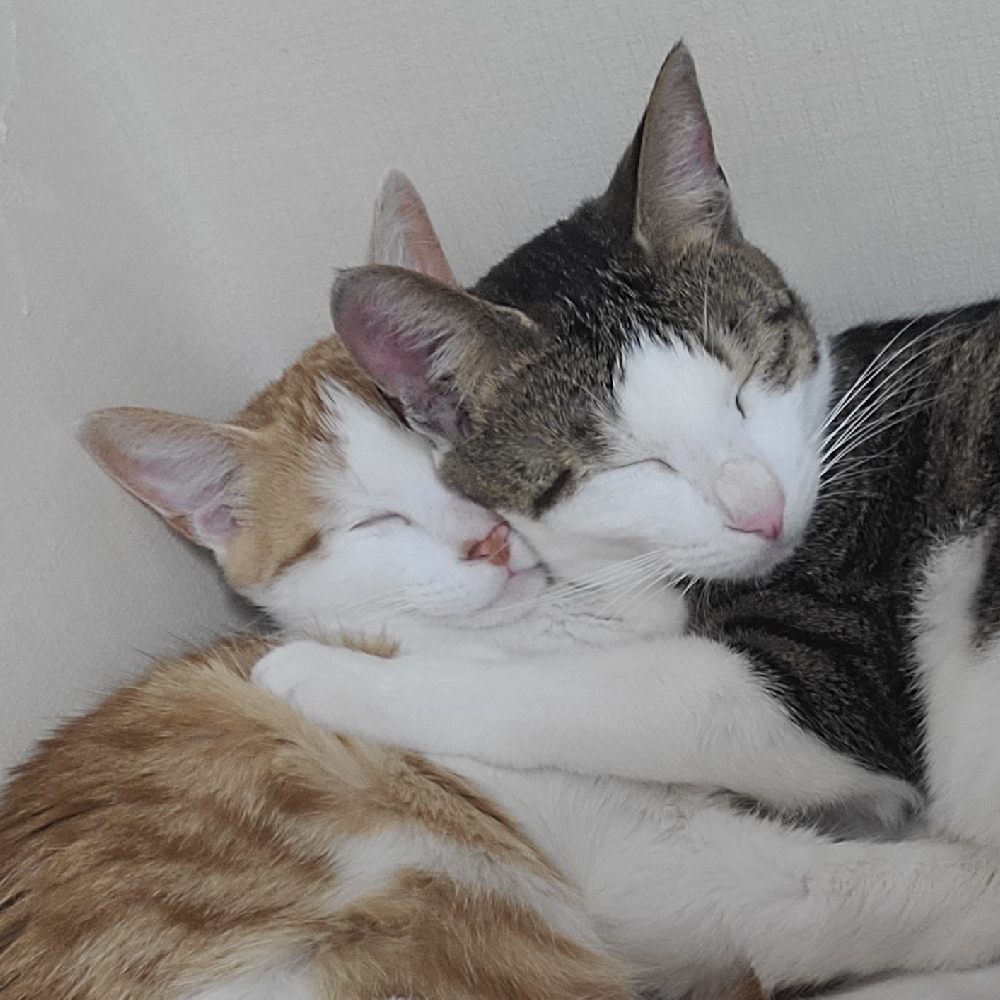 관심 유저 프로필 이미지