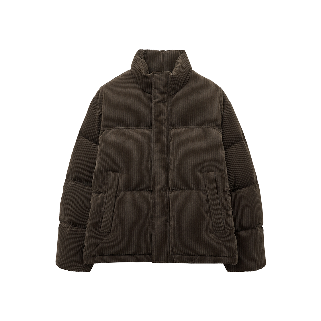 TNJU5F206W2 TNGT European goose Corduroy Down Jumper Brown