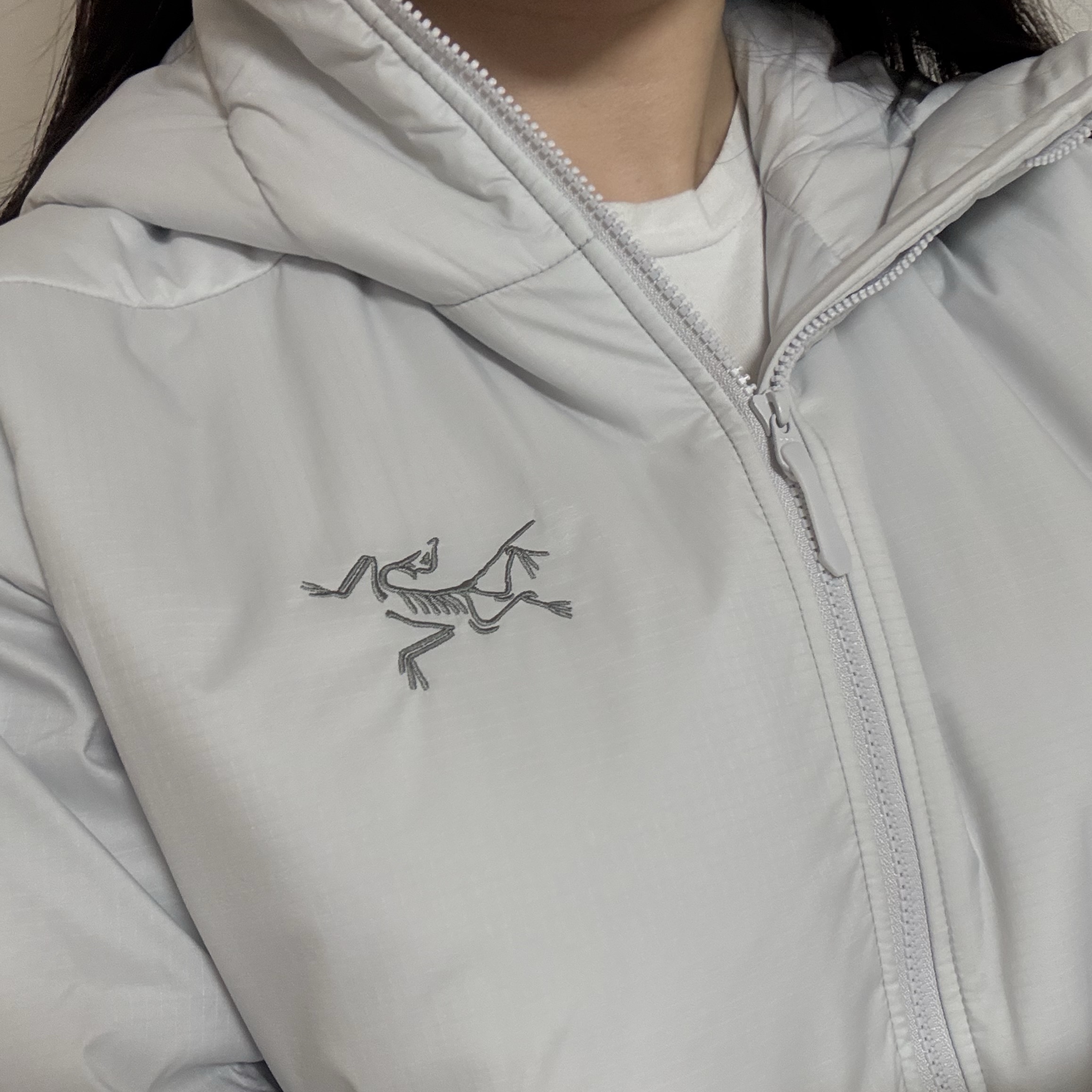 Arc'teryx Atom SV Hoody Solitude 착용 스타일 - 1