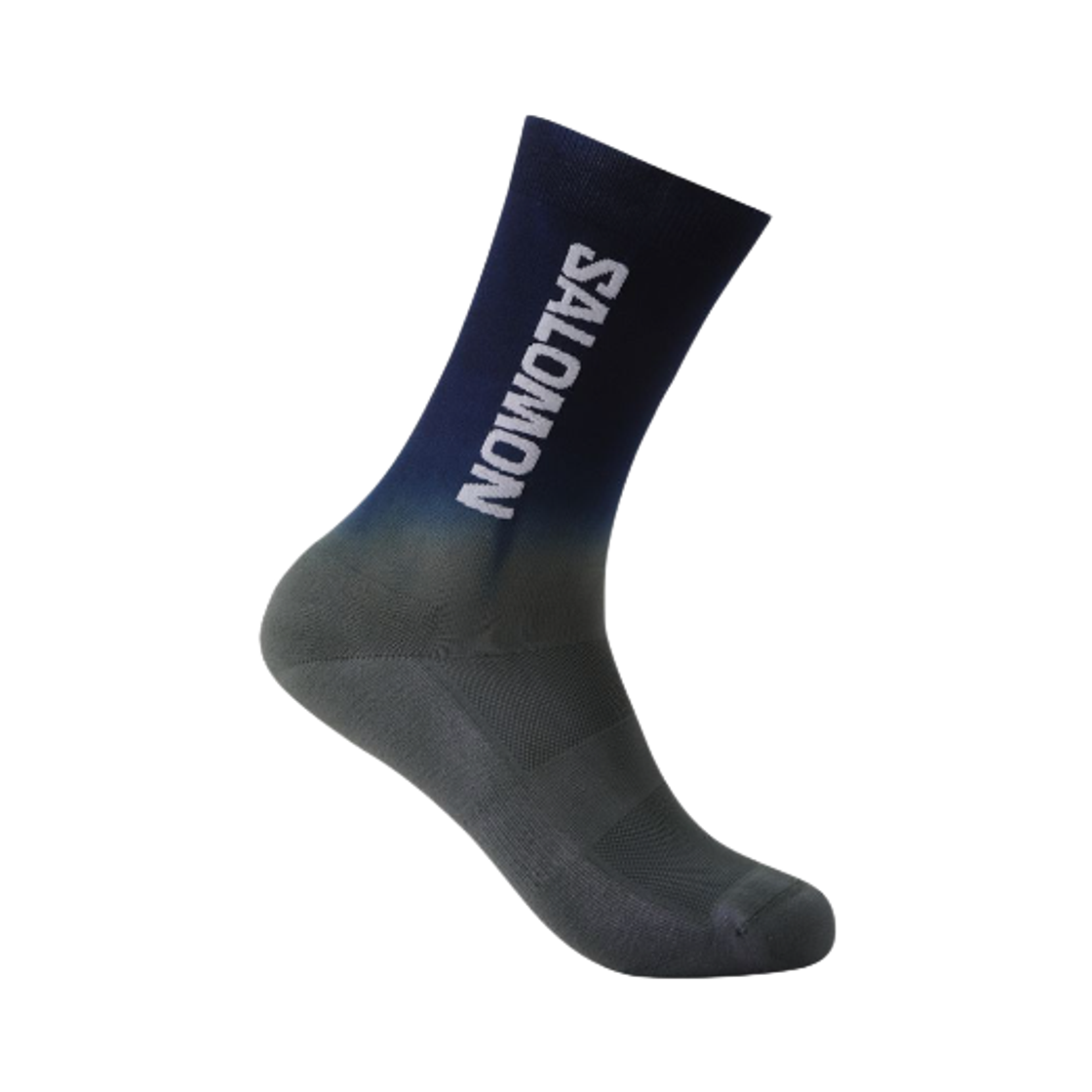 LC2977400 Salomon Power Dry Gradient Socks Blue