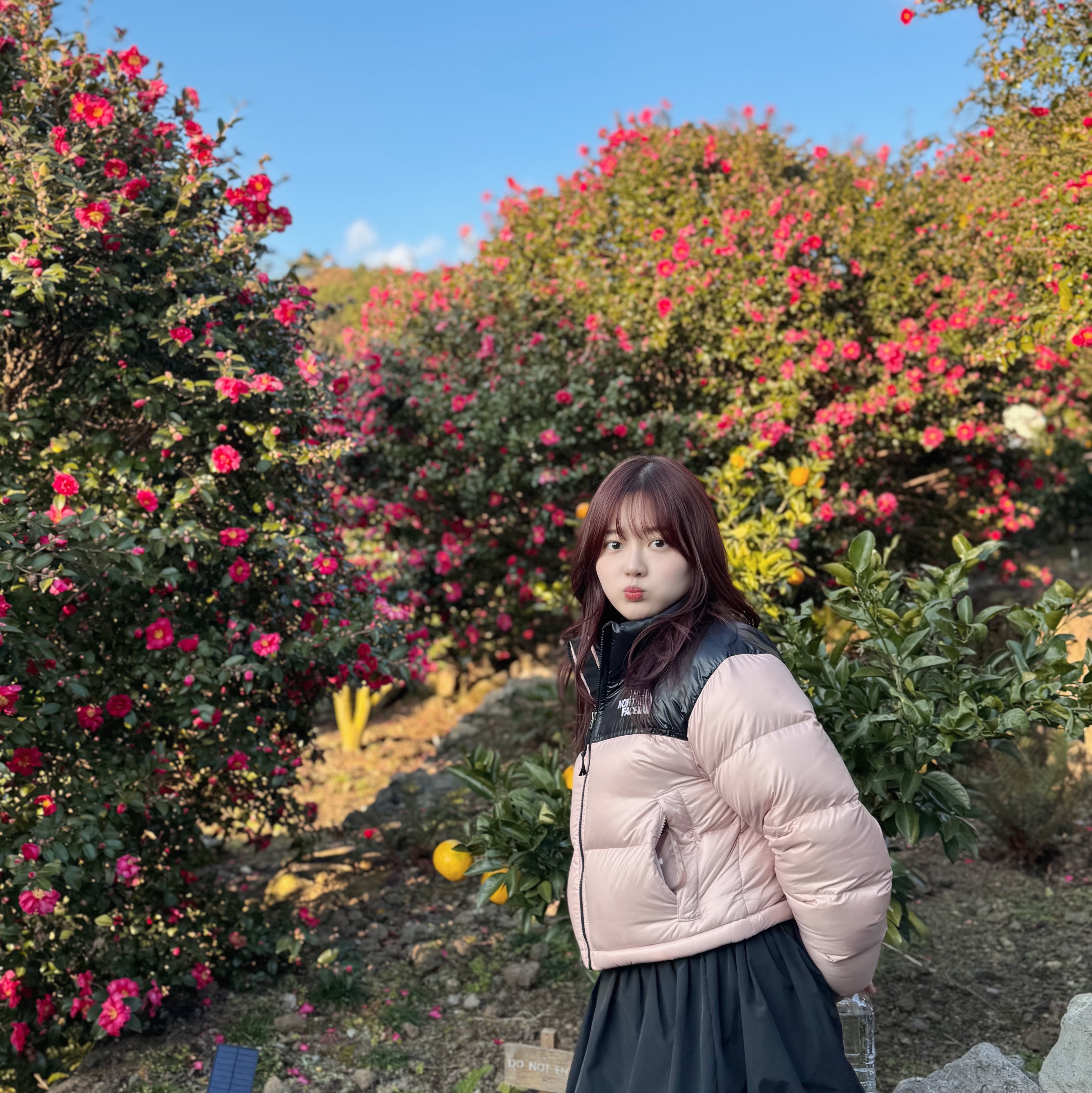 (W) The North Face Nuptse Short Jacket Pastel Pink, (W) UGG Coquette Slipper Chestnut 착용 스타일 - 2