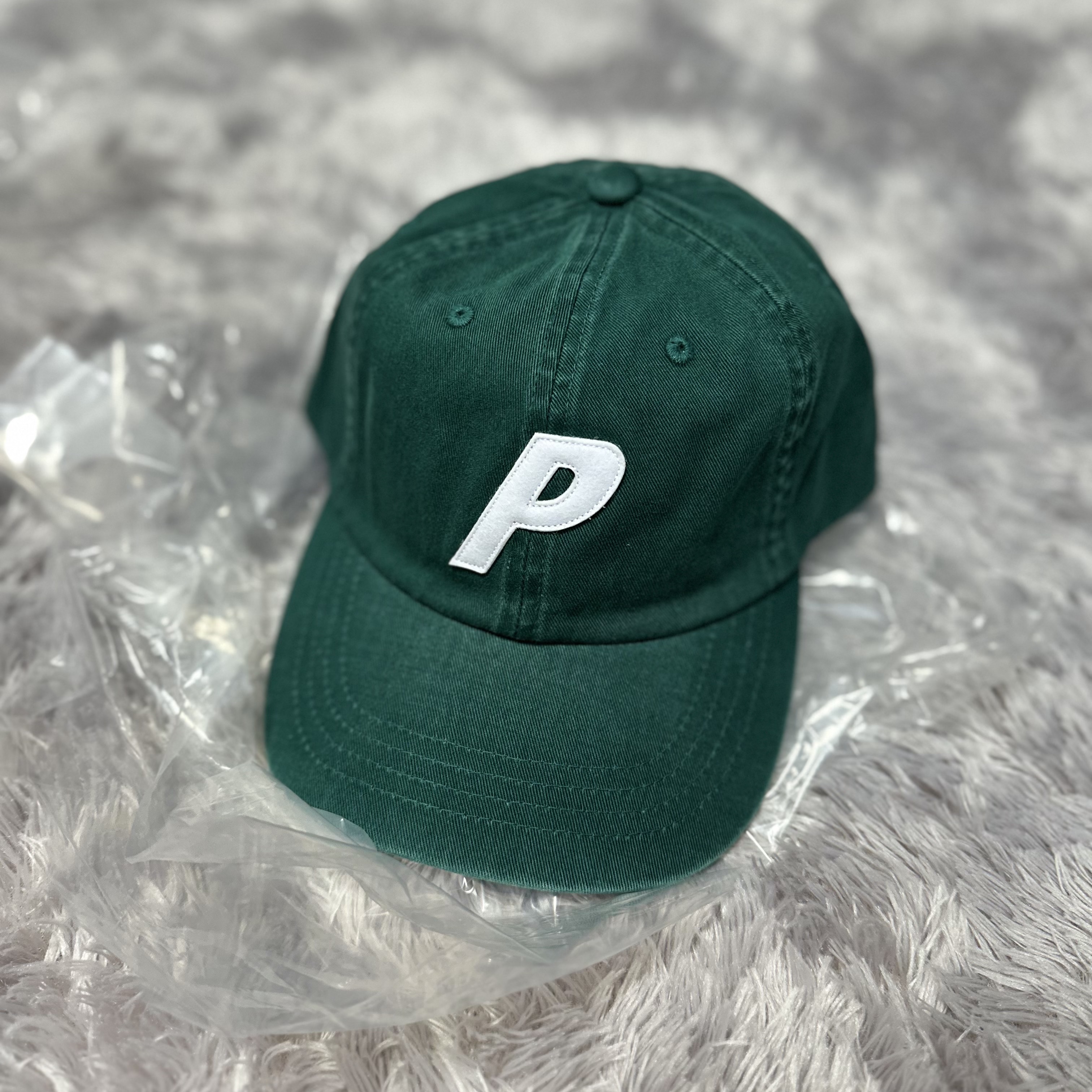 Palace P 6-Panel Forest - 25FW 착용 스타일 - 1