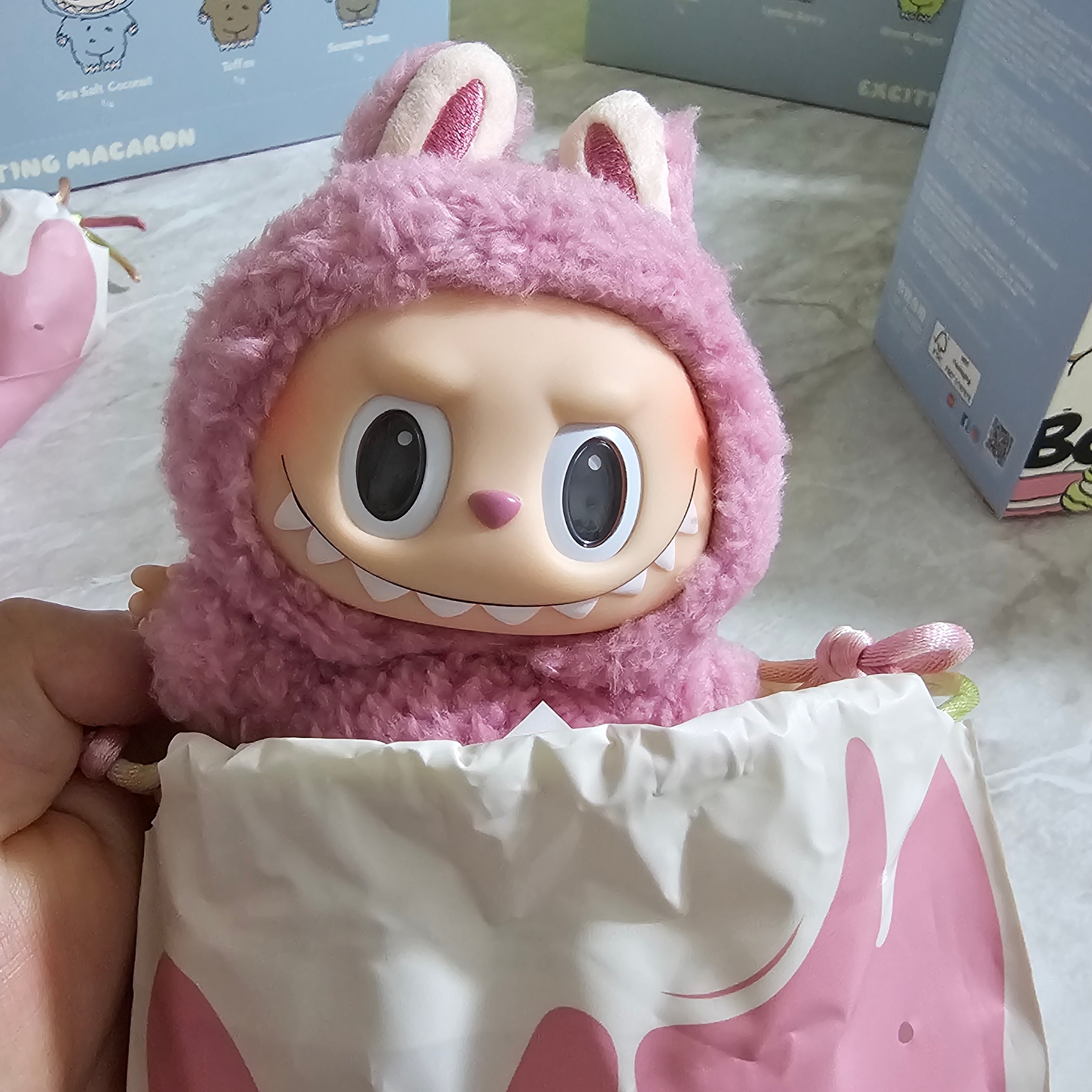 Pop Mart Labubu The Monsters Labubu Tasty Macarons Series Lyche Berry Keyring 착용 스타일