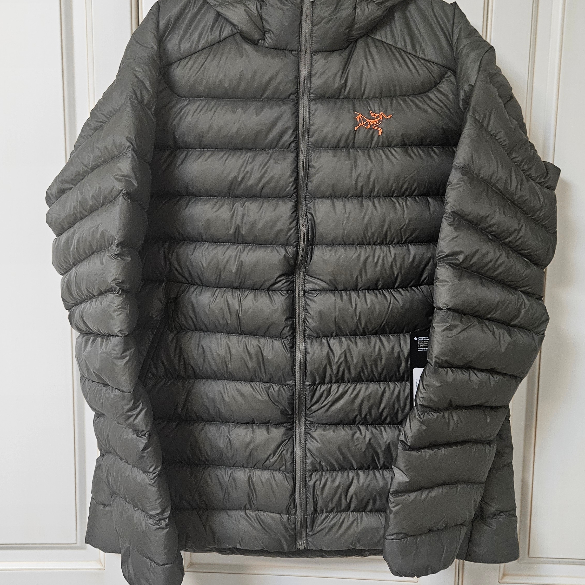 Arc'teryx Cerium Hoody Forage Verve, Arc'teryx Thorium Hoody Tatsu 착용 스타일 - 1