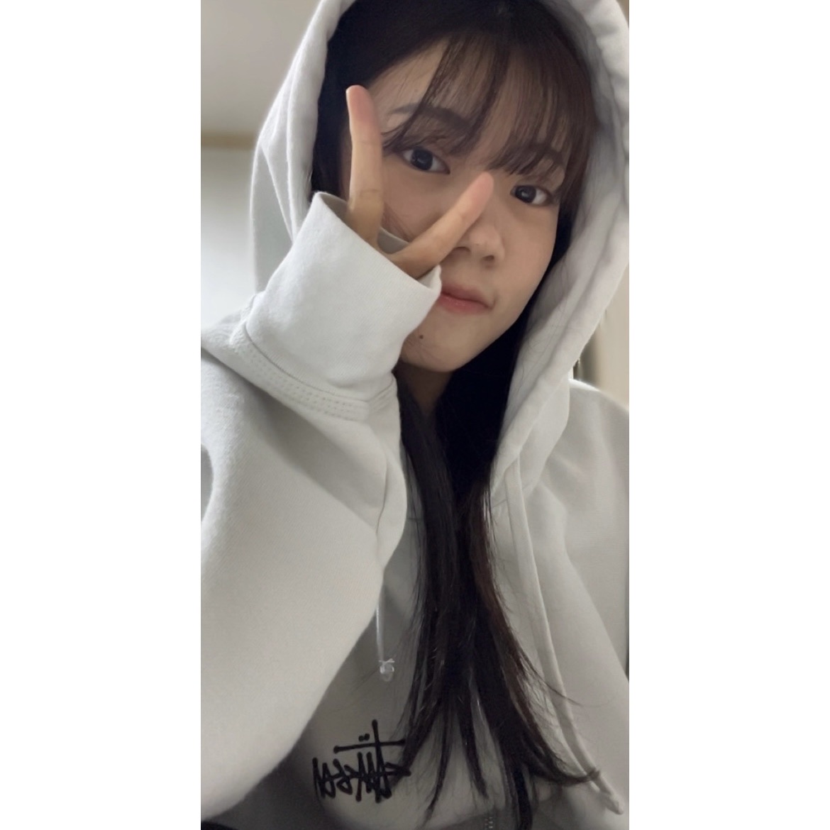 Stussy Basic Stussy Zip Hoodie Fog 2024 착용 스타일