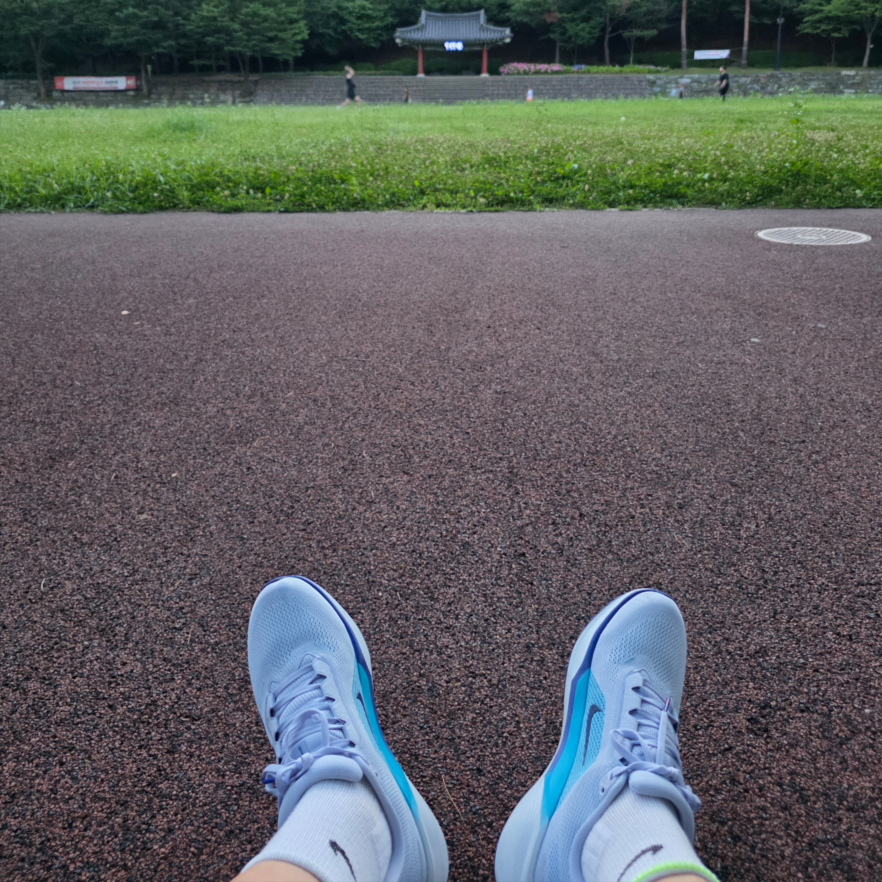 Nike Air Zoom Pegasus 41 Ghost Football Grey 착용 스타일