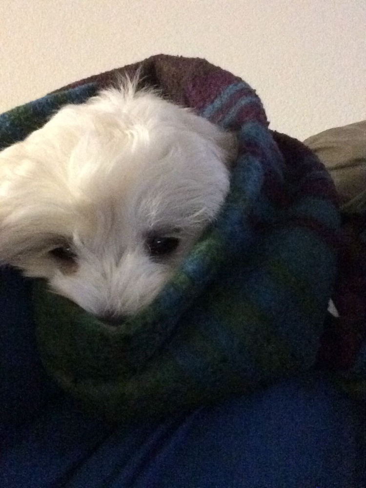 관심 유저 프로필 이미지