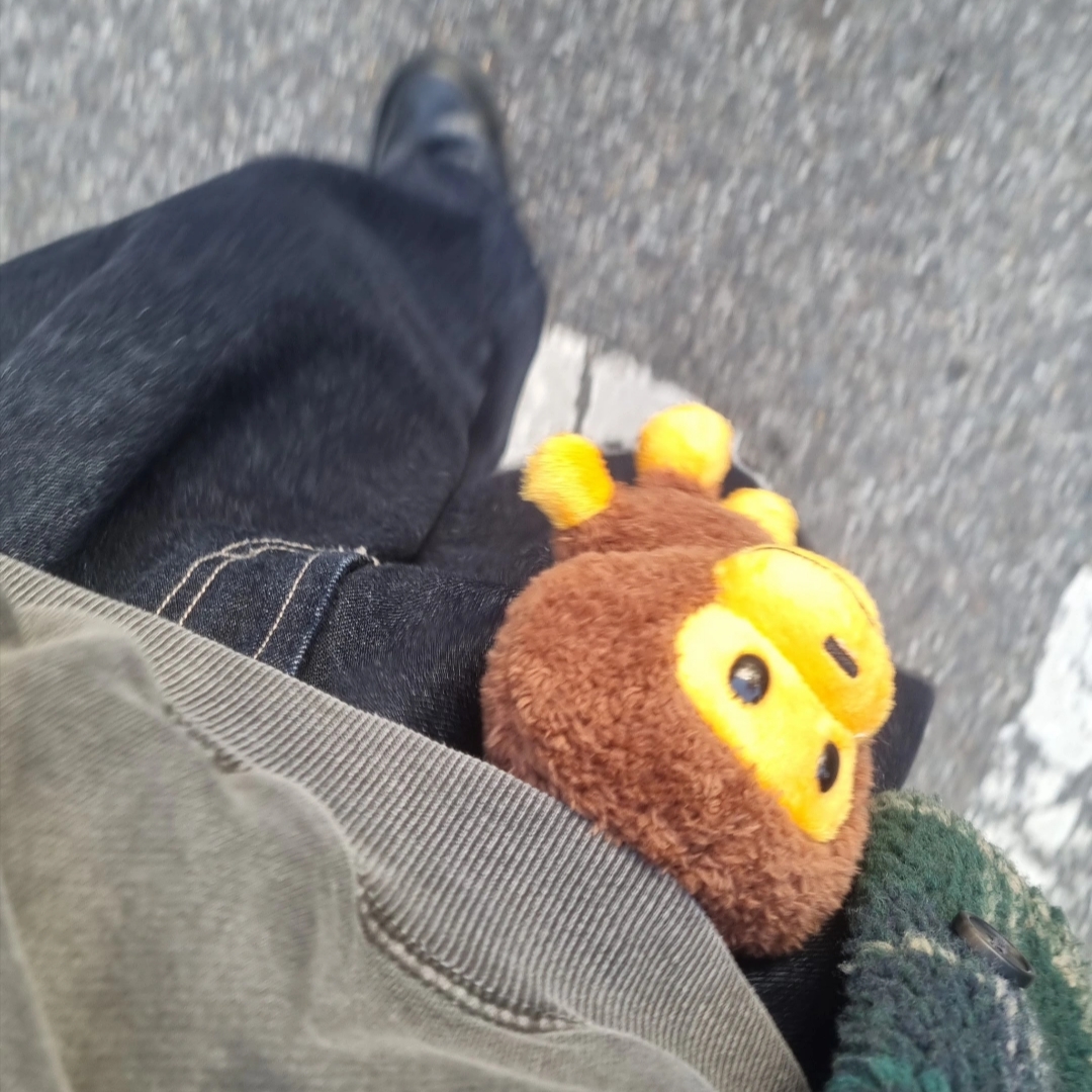 BAPE Baby Milo Plush Doll Key Chain 12cm Brown, Zara Faux Shearling Jacquard Overshirt Green 착용 스타일 - 1
