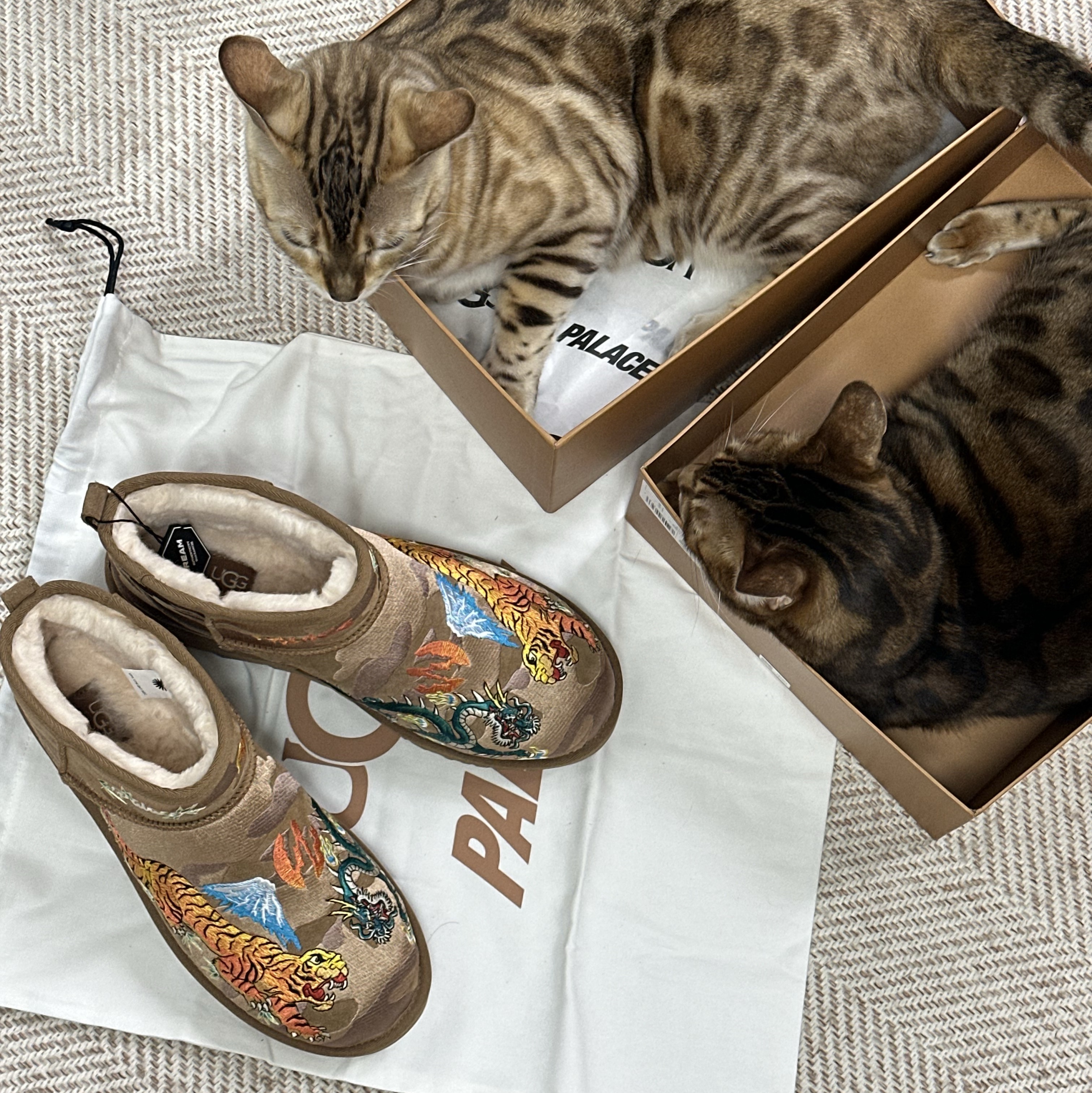 UGG x Palace Ultra Mini Boot Chestnut Camo 착용 스타일