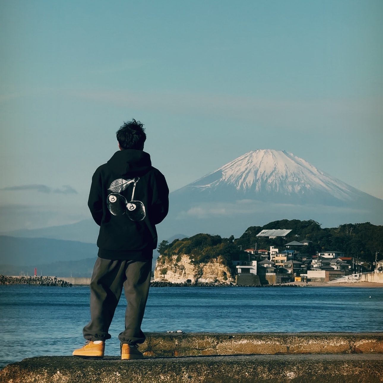 Stussy Cherries Hoodie Black, Nike Air Force 1 '07 WB Flax 착용 스타일 - 1