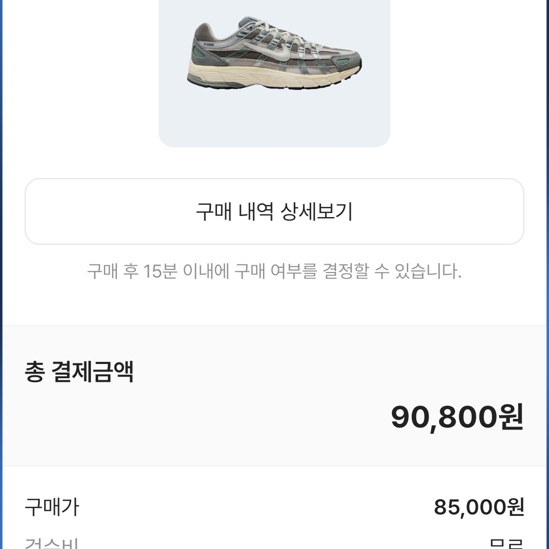 Nike P-6000 Flat Pewter Light Iron Ore 착용 스타일
