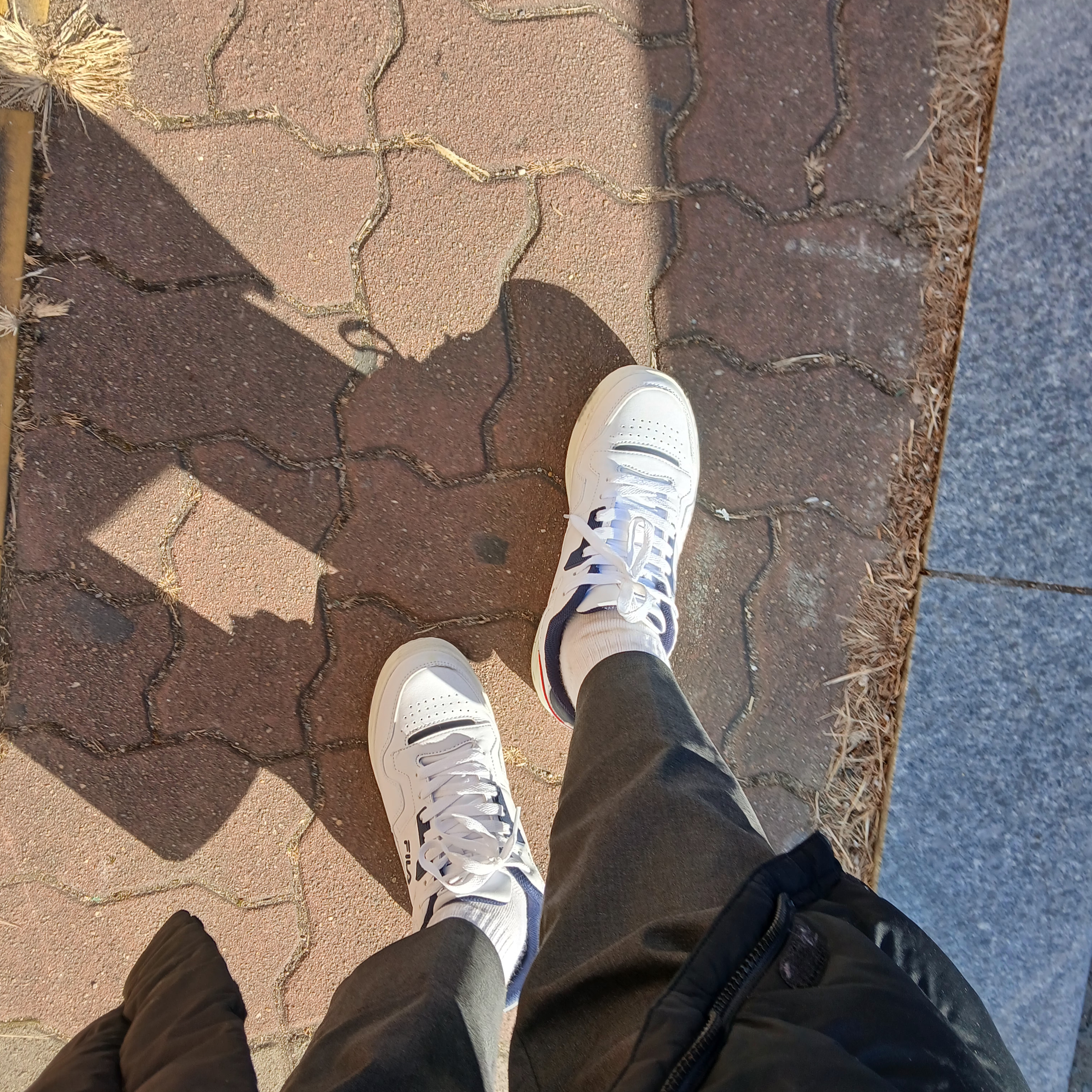 Fila Targa 88/22 LX White Brown 착용 스타일 - 3