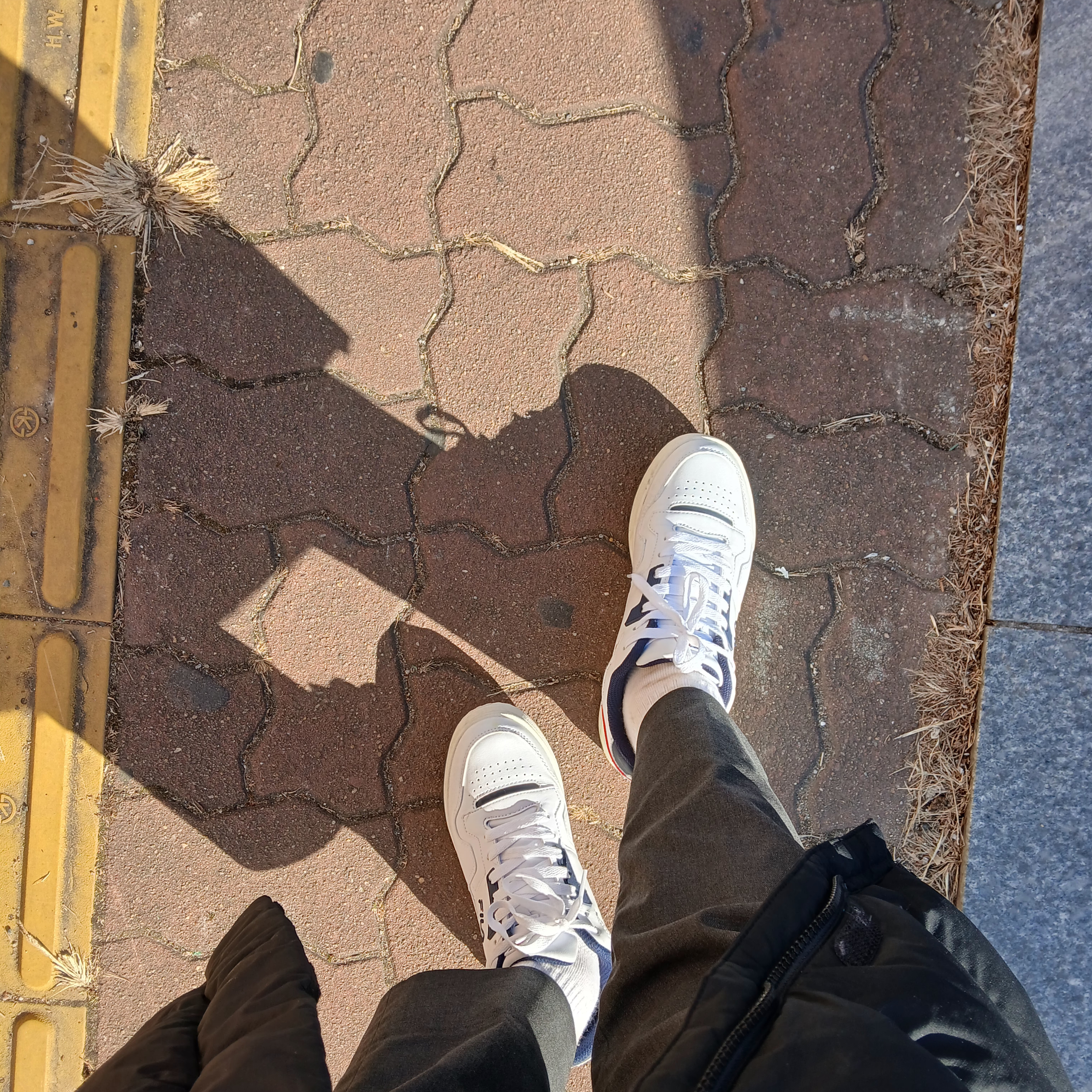 Fila Targa 88/22 LX White Brown 착용 스타일 - 1