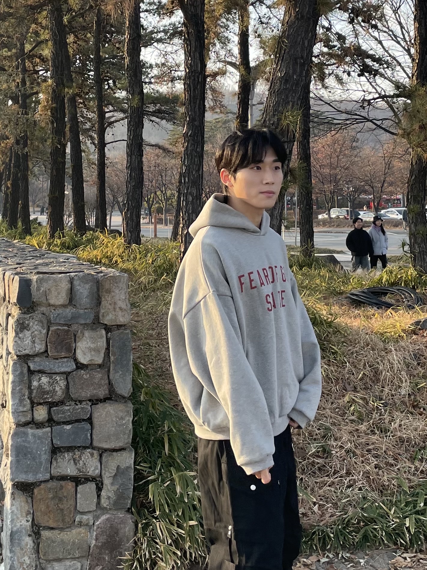 Essentials Fleece State Hoodie Dark Heather - 24FW, Nike Dunk Low Retro PRM Halloween 착용 스타일 - 6