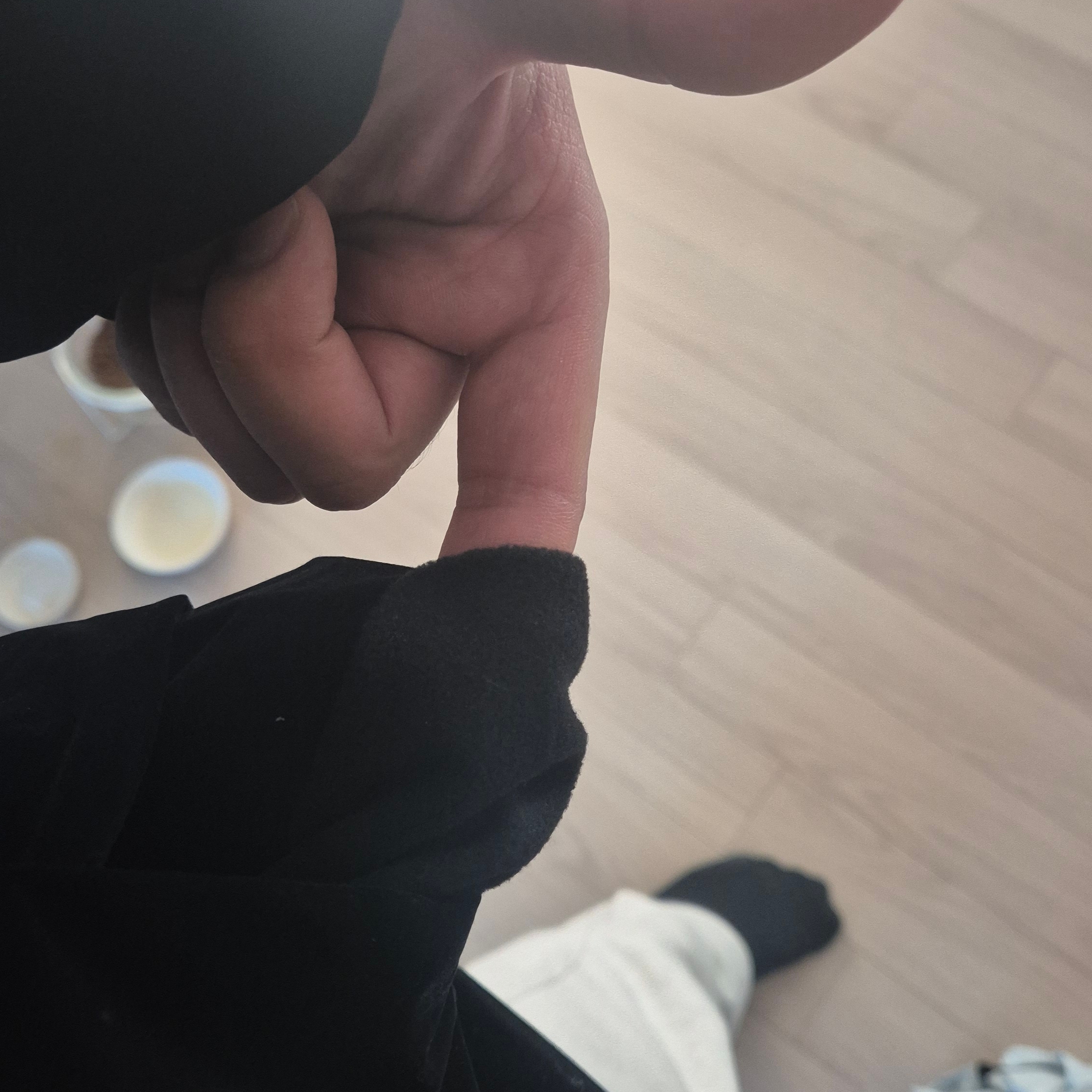 Wooyoungmi High Neck Goose Down Jumper Black - 23FW 착용 스타일