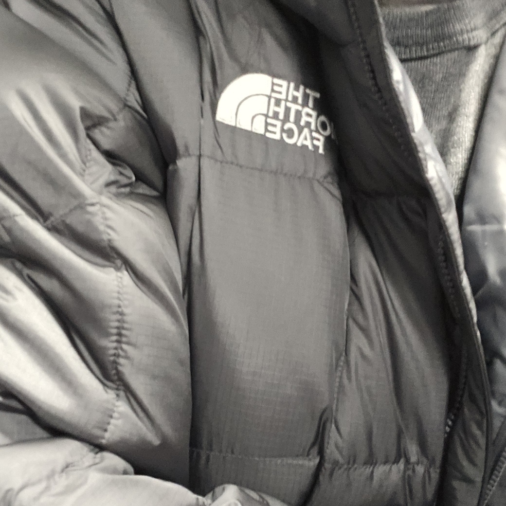 The North Face White Label Wave LT On Ball Jacket Gray 착용 스타일